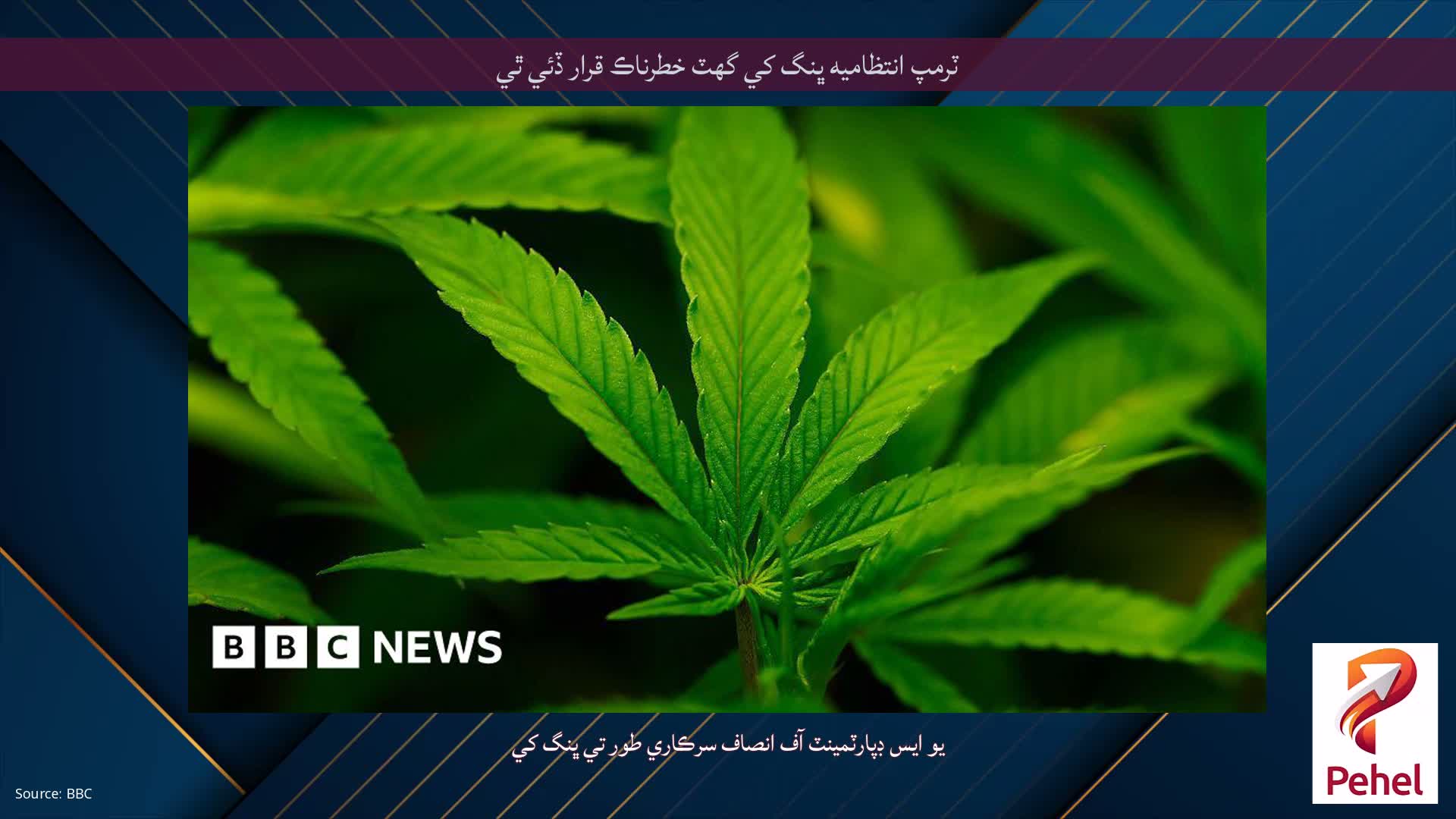 ٽرمپ انتظاميه ڀنگ کي گهٽ خطرناڪ قرار ڏئي ٿي