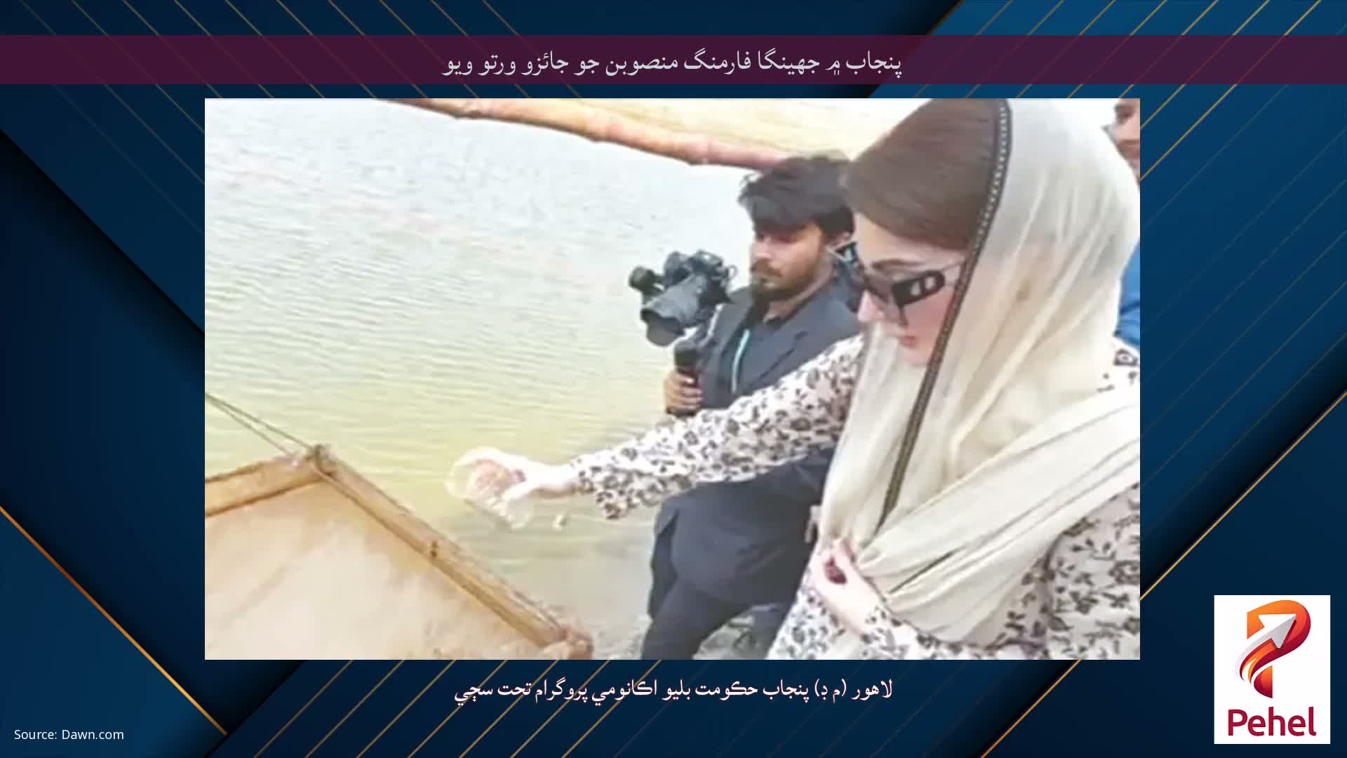 پنجاب ۾ جھينگا فارمنگ منصوبن جو جائزو ورتو ويو