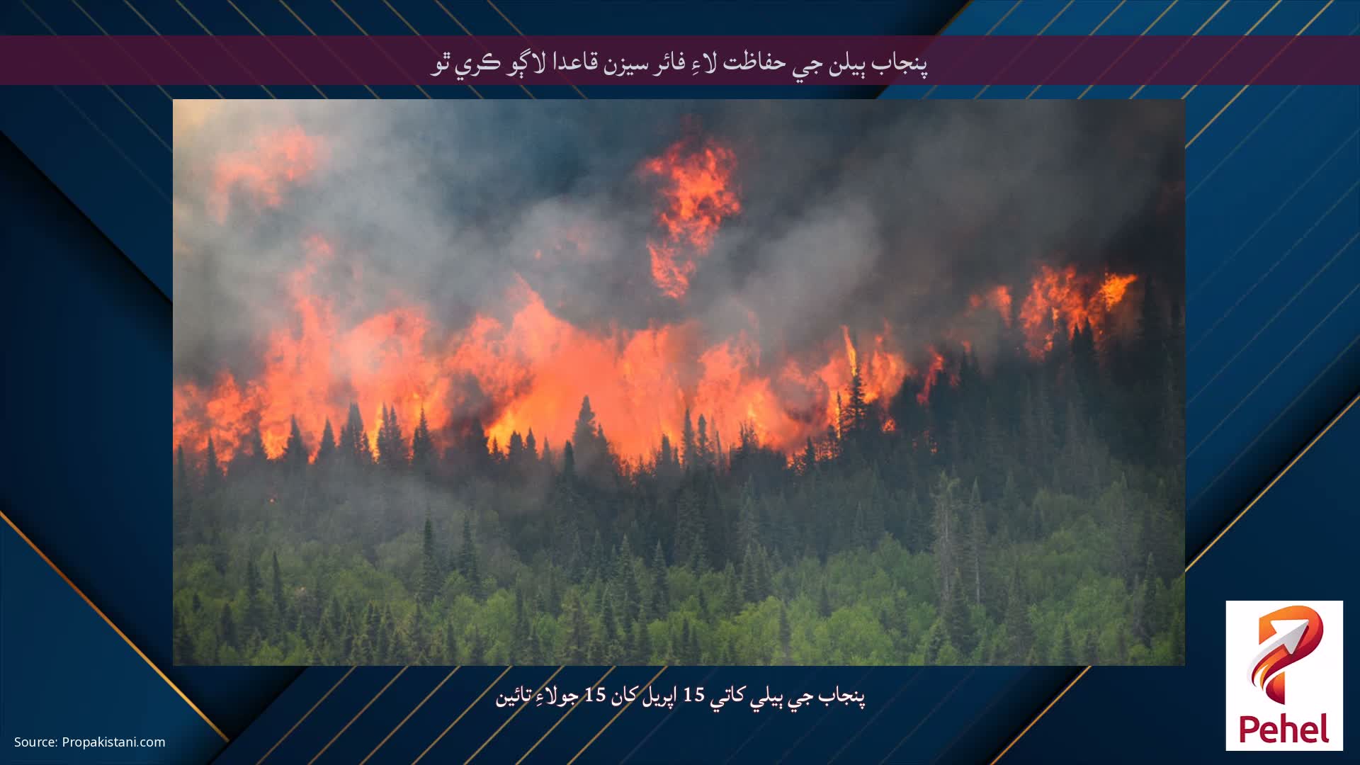 پنجاب ٻيلن جي حفاظت لاءِ فائر سيزن قاعدا لاڳو ڪري ٿو