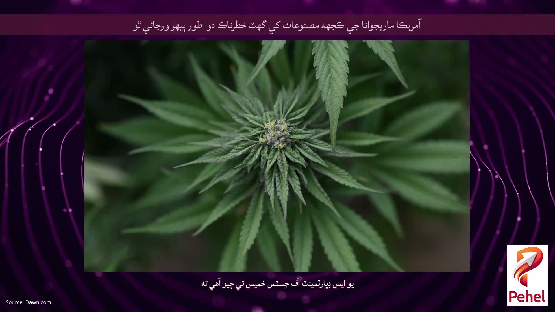 آمريڪا ماريجوانا جي ڪجهه مصنوعات کي گهٽ خطرناڪ دوا طور ٻيهر ورجائي ٿو