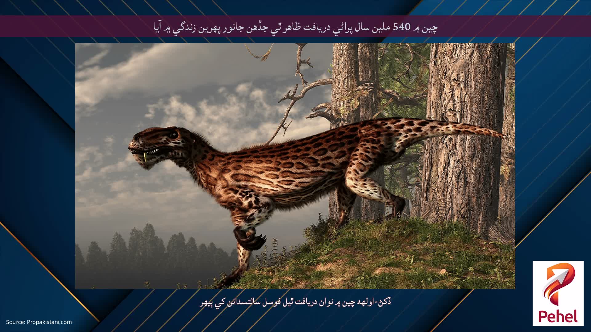 چين ۾ 540 ملين سال پراڻي دريافت ظاهر ٿي جڏهن جانور پهرين زندگي ۾ آيا