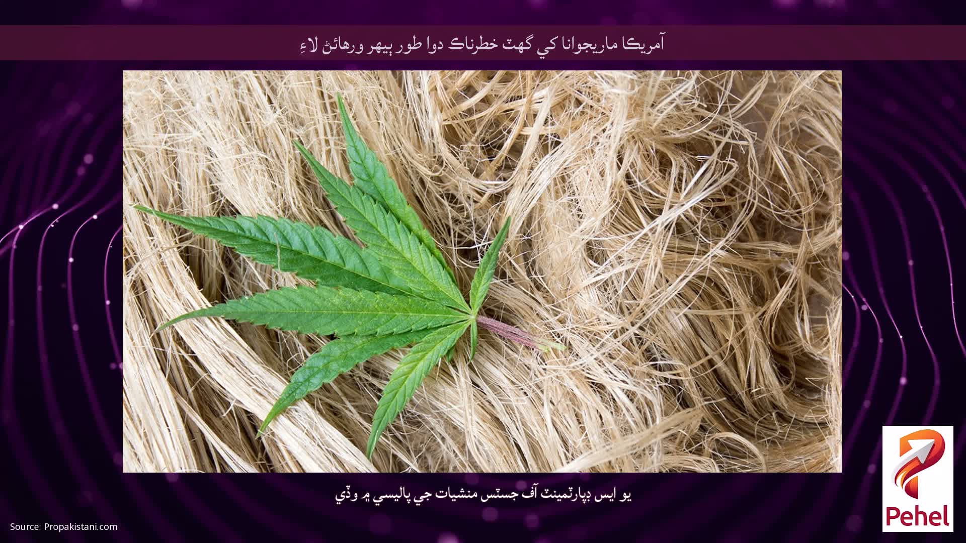 آمريڪا ماريجوانا کي گهٽ خطرناڪ دوا طور ٻيهر ورهائڻ لاءِ