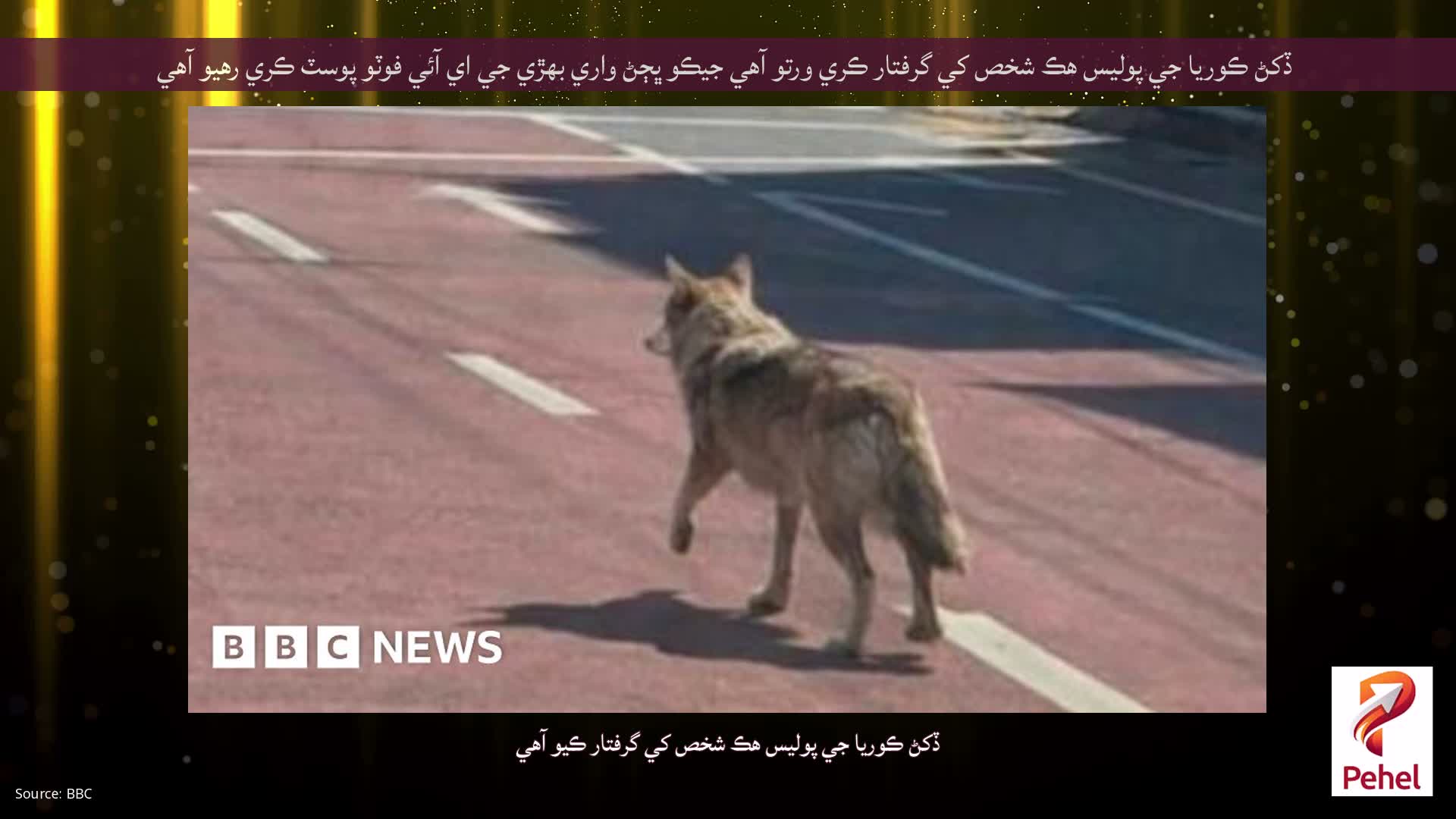 ڏکڻ ڪوريا جي پوليس هڪ شخص کي گرفتار ڪري ورتو آهي جيڪو ڀڄڻ واري بهڙي جي اي آئي فوٽو پوسٽ ڪري رهيو آهي