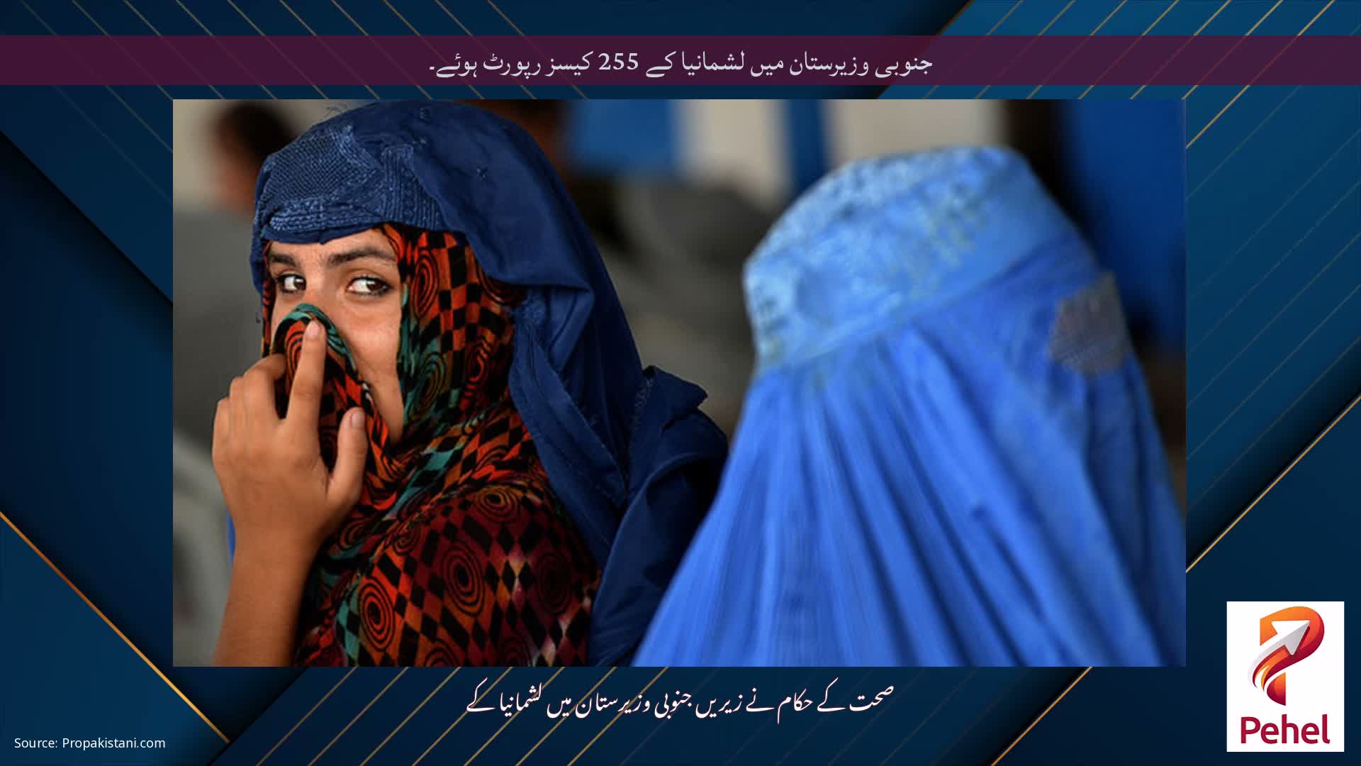 جنوبی وزیرستان میں لشمانیا کے 255 کیسز رپورٹ ہوئے۔