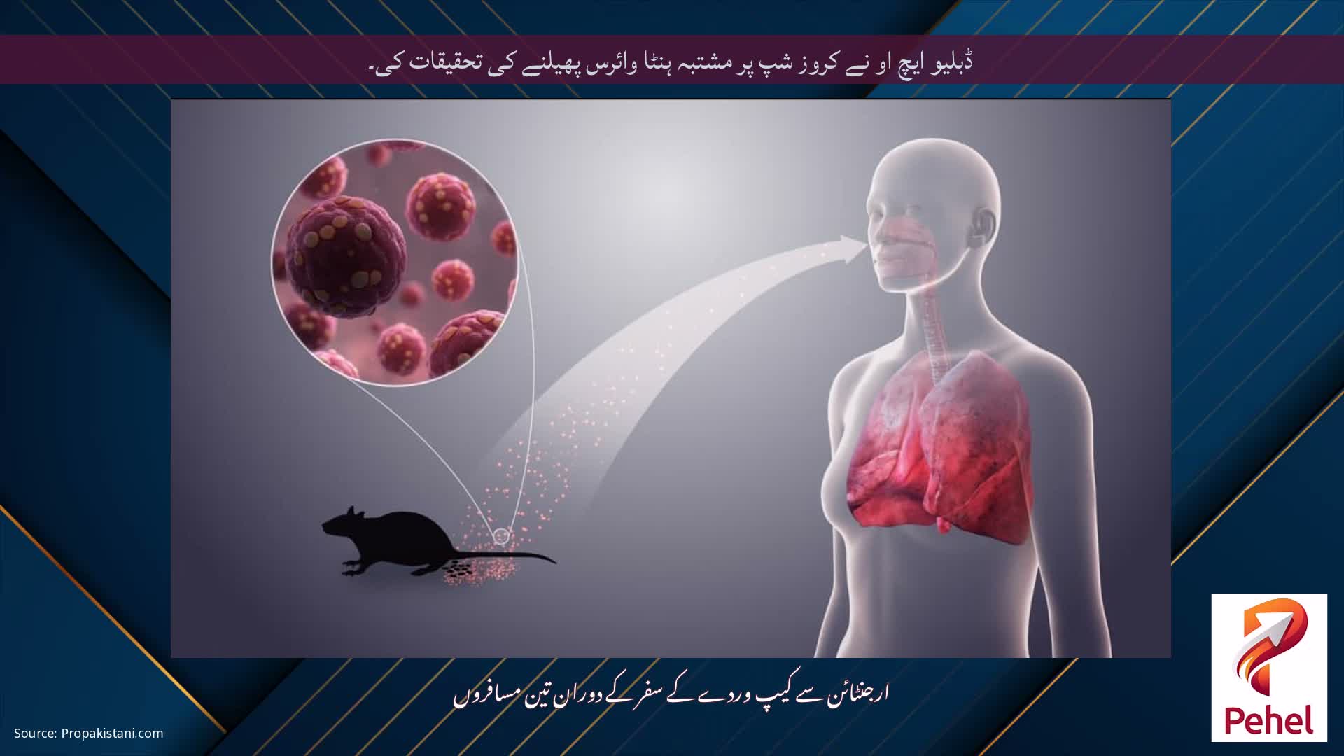 ڈبلیو ایچ او نے کروز شپ پر مشتبہ ہنٹا وائرس پھیلنے کی تحقیقات کی۔