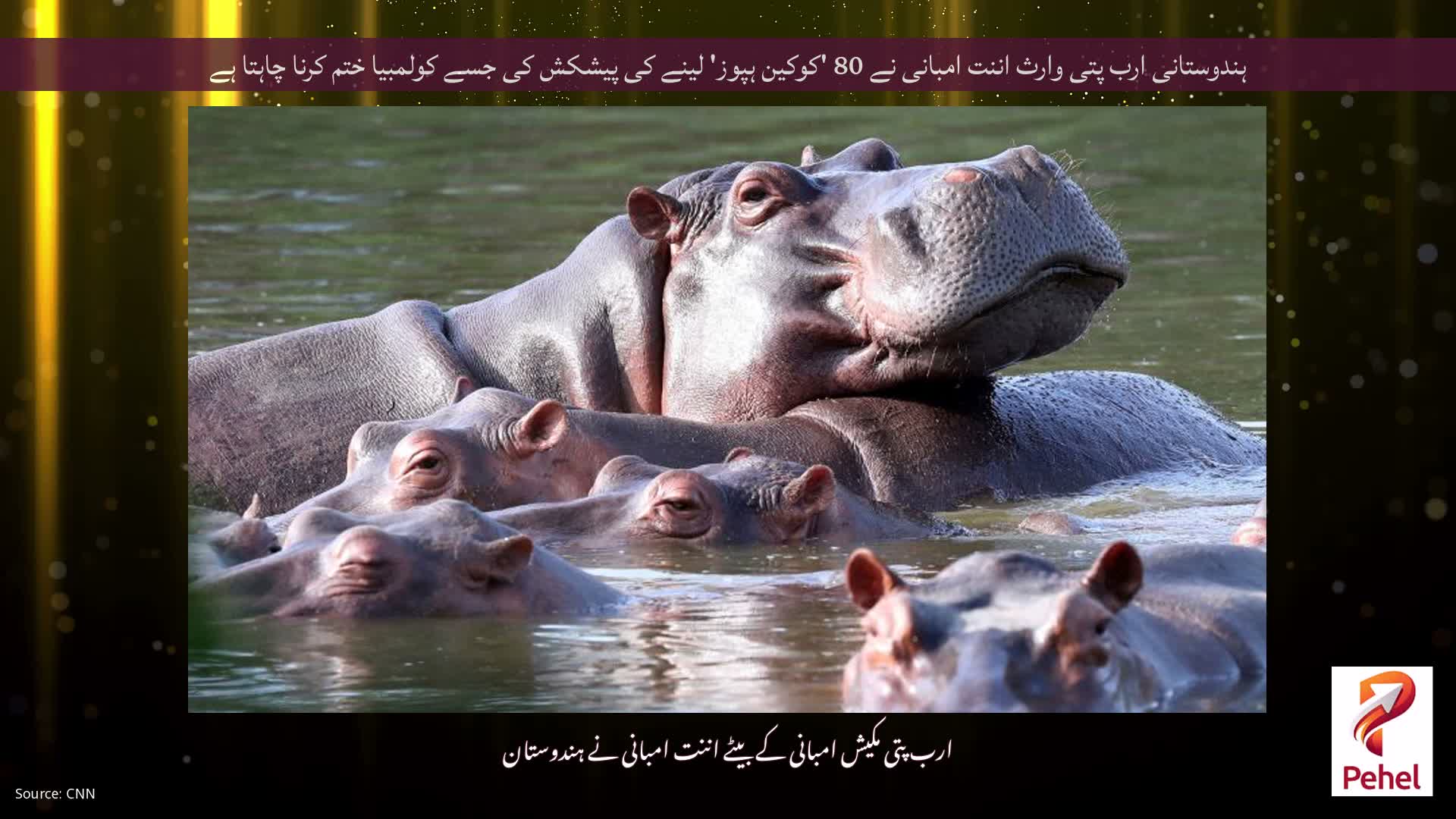 ہندوستانی ارب پتی وارث اننت امبانی نے 80 'کوکین ہپوز' لینے کی پیشکش کی جسے کولمبیا ختم کرنا چاہتا ہے