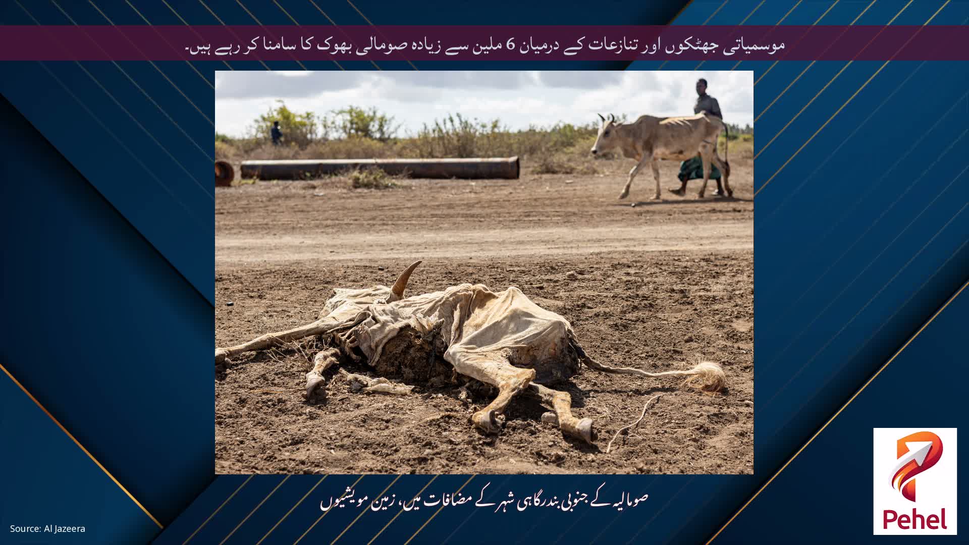 موسمیاتی جھٹکوں اور تنازعات کے درمیان 6 ملین سے زیادہ صومالی بھوک کا سامنا کر رہے ہیں۔