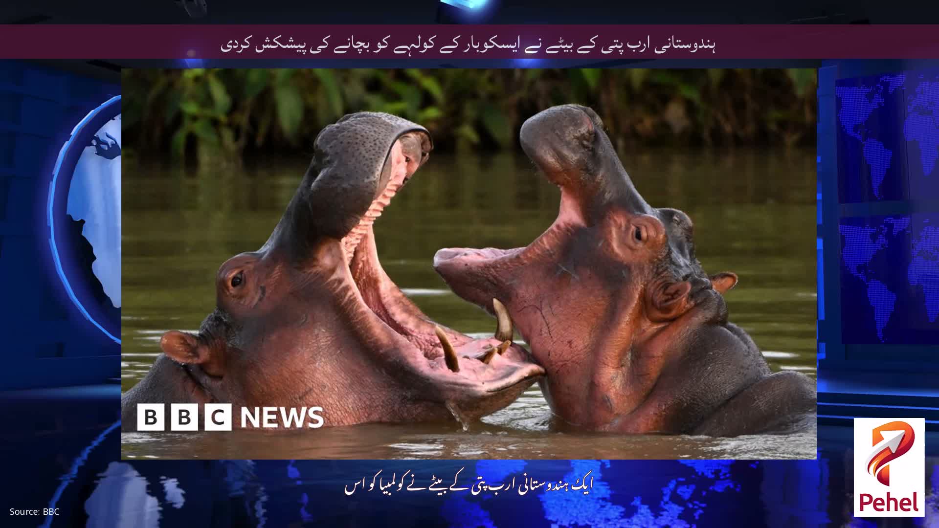 ہندوستانی ارب پتی کے بیٹے نے ایسکوبار کے کولہے کو بچانے کی پیشکش کردی