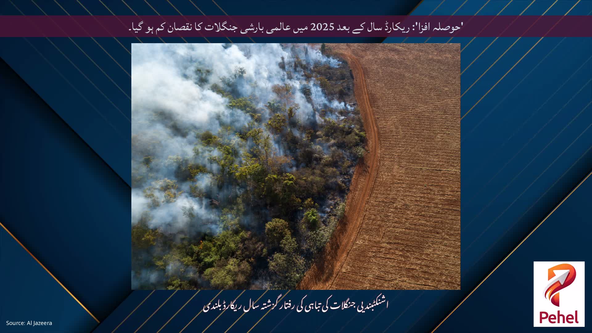 'حوصلہ افزا': ریکارڈ سال کے بعد 2025 میں عالمی بارشی جنگلات کا نقصان کم ہو گیا۔