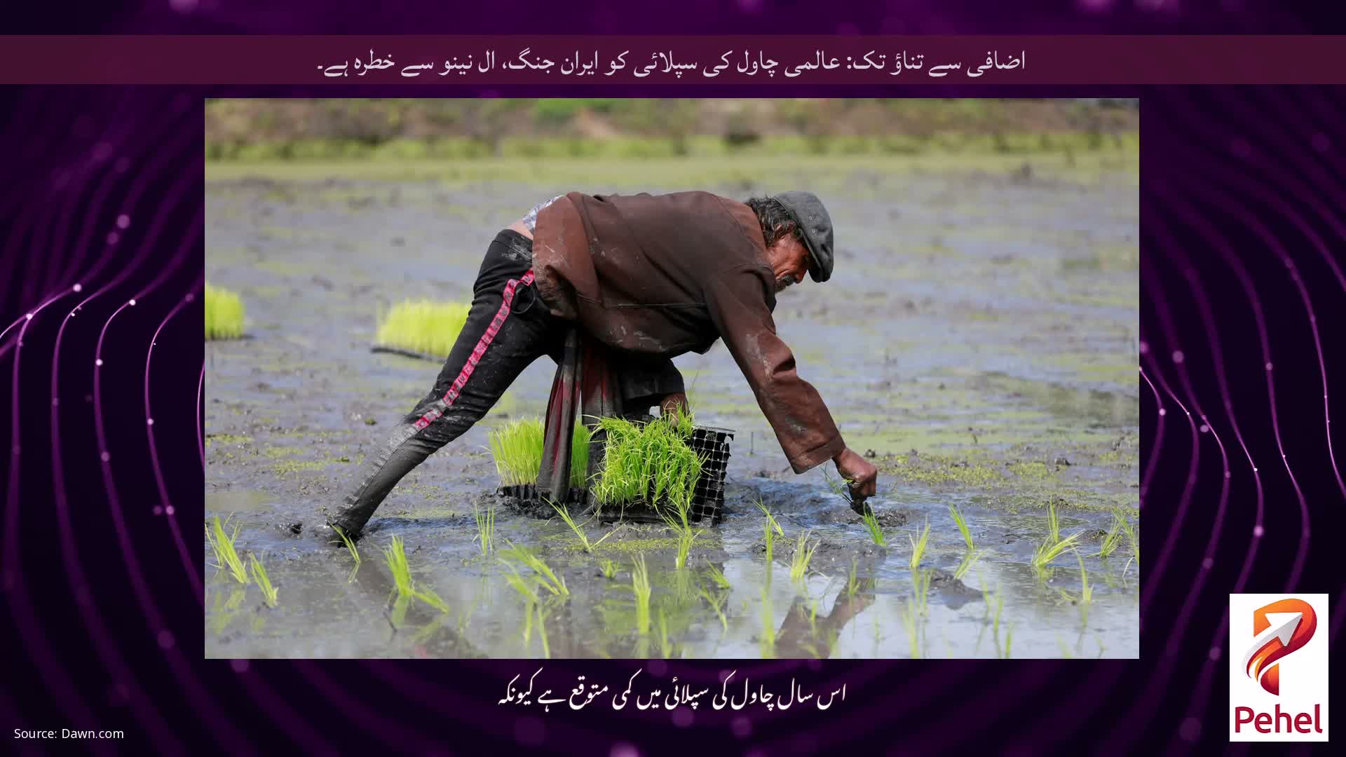 اضافی سے تناؤ تک: عالمی چاول کی سپلائی کو ایران جنگ، ال نینو سے خطرہ ہے۔