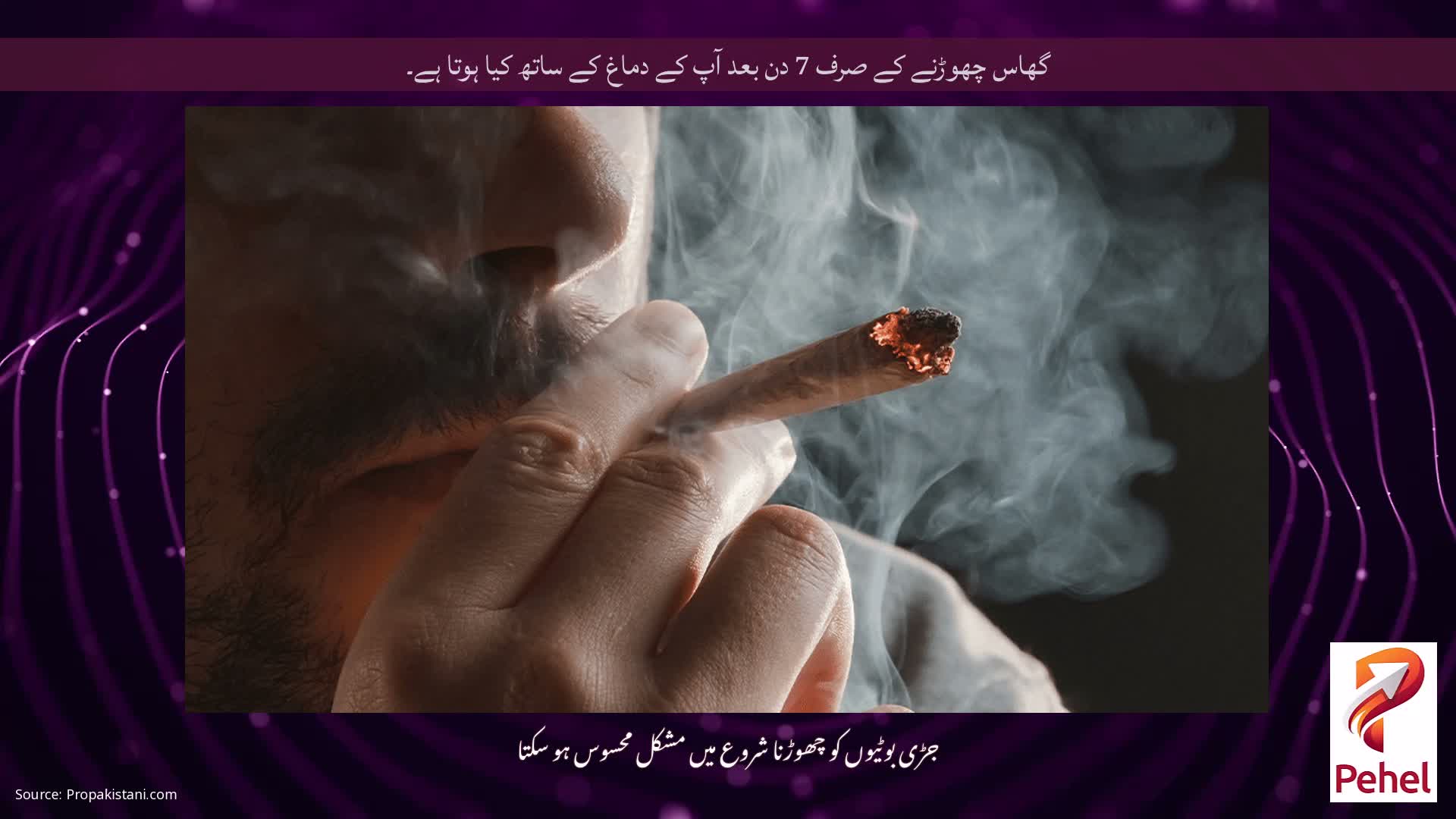 گھاس چھوڑنے کے صرف 7 دن بعد آپ کے دماغ کے ساتھ کیا ہوتا ہے۔