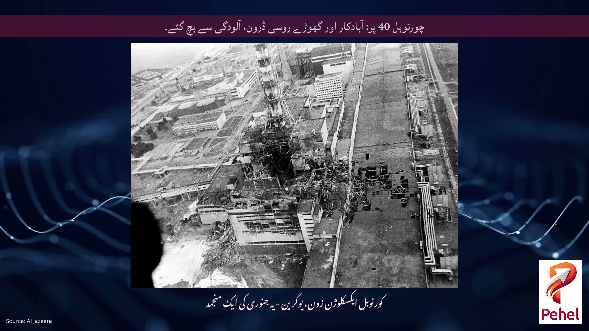 چورنوبل 40 پر: آبادکار اور گھوڑے روسی ڈرون، آلودگی سے بچ گئے۔