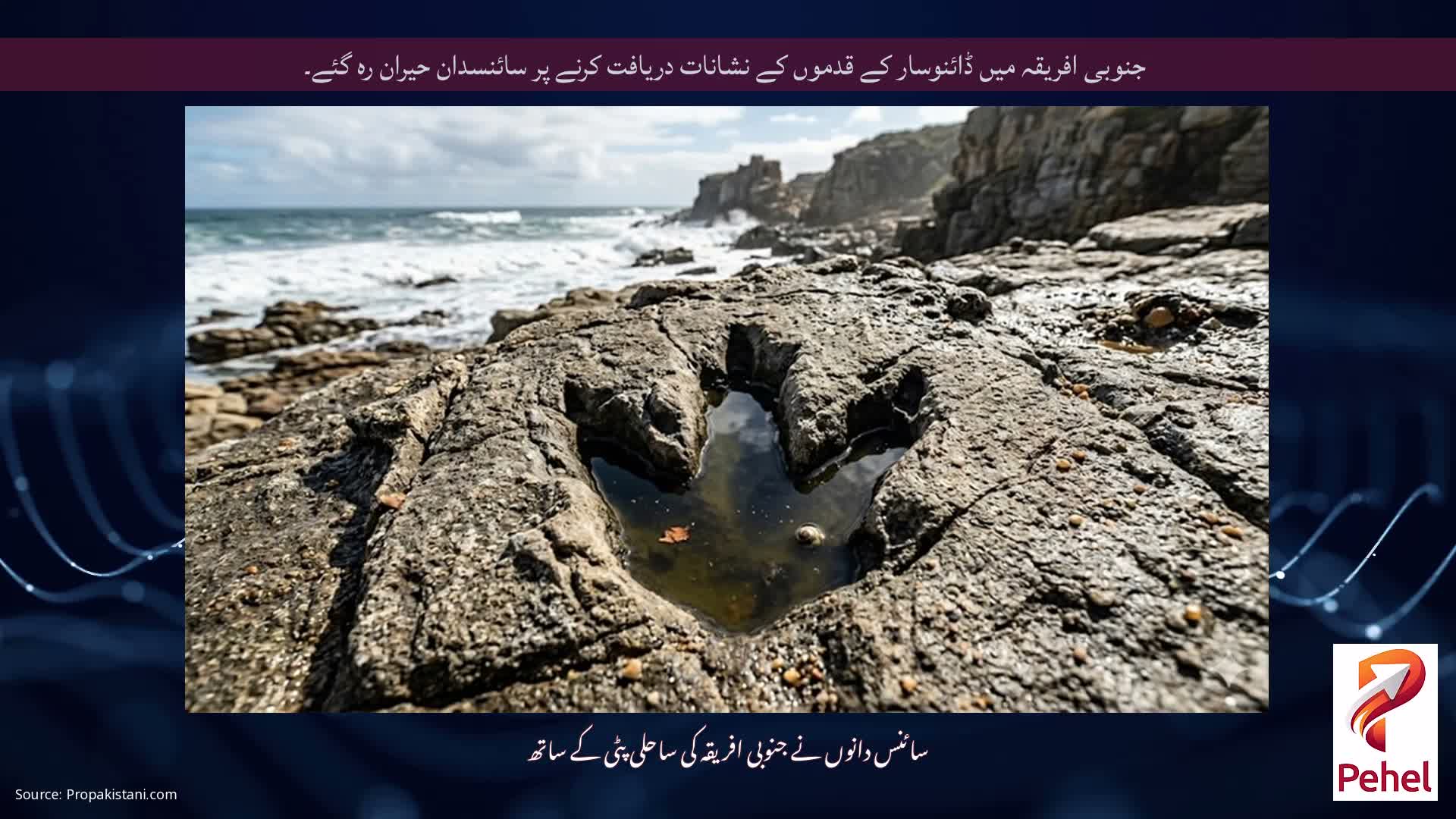 جنوبی افریقہ میں ڈائنوسار کے قدموں کے نشانات دریافت کرنے پر سائنسدان حیران رہ گئے۔