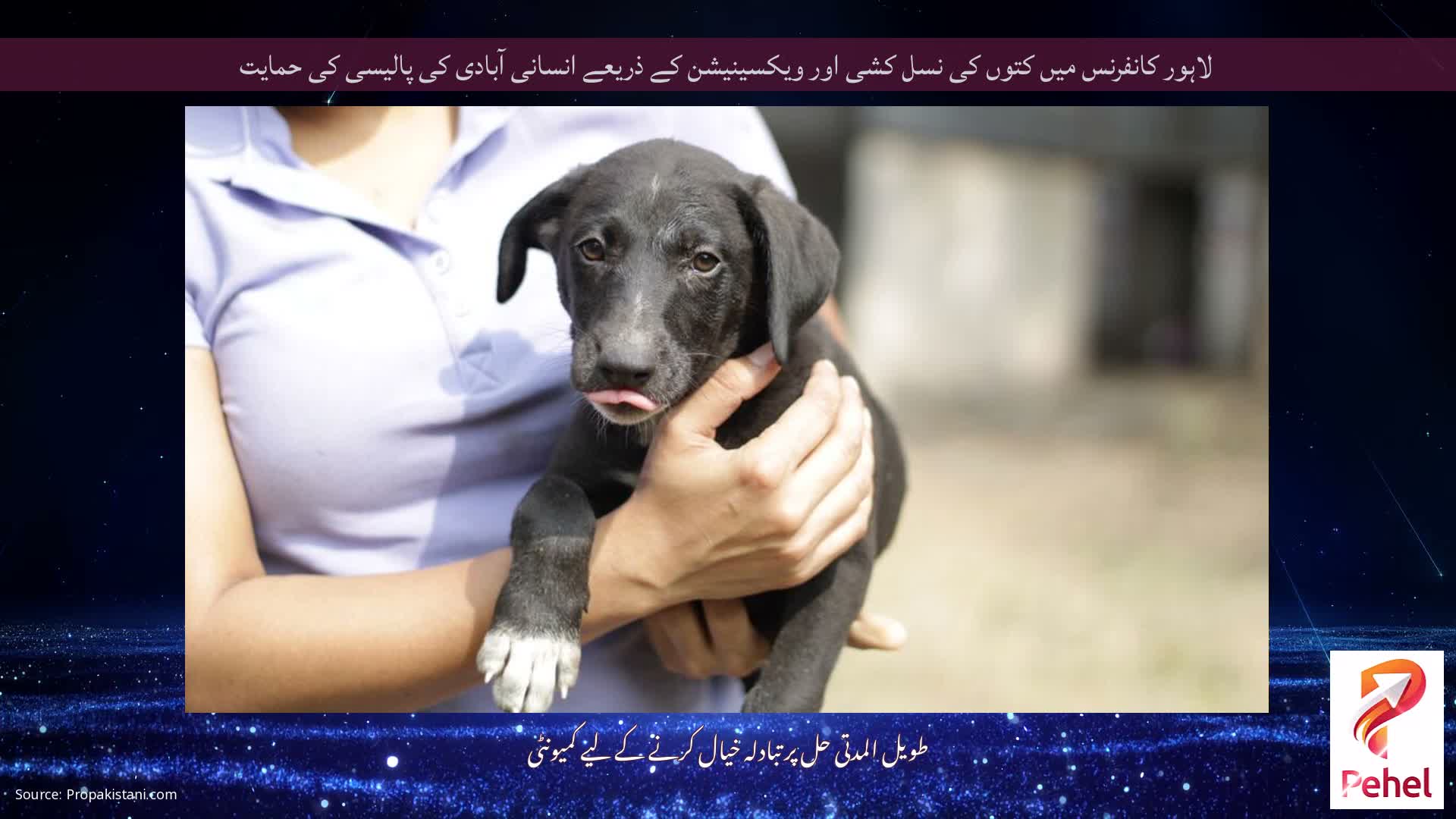 لاہور کانفرنس میں کتوں کی نسل کشی اور ویکسینیشن کے ذریعے انسانی آبادی کی پالیسی کی حمایت