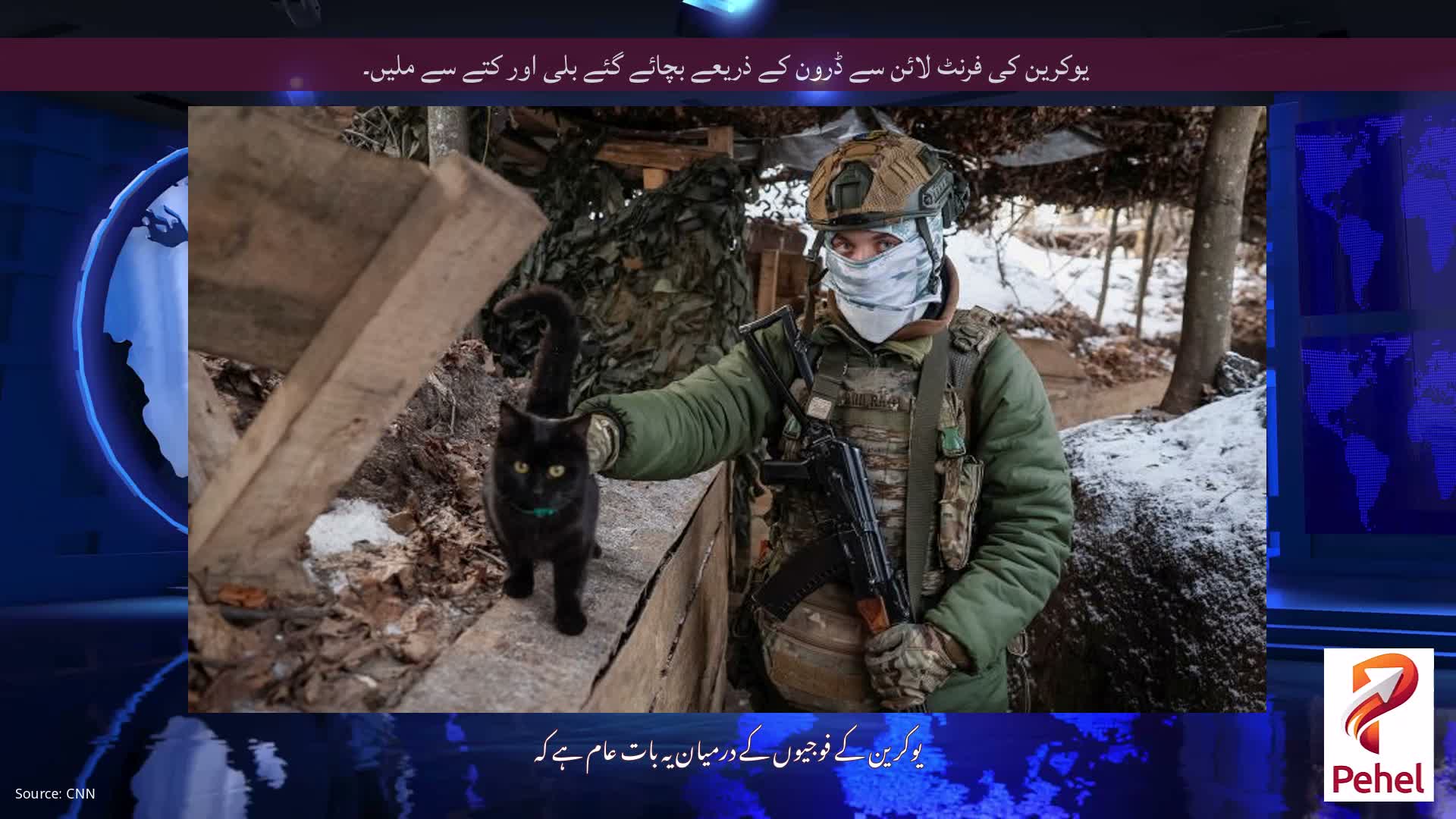 یوکرین کی فرنٹ لائن سے ڈرون کے ذریعے بچائے گئے بلی اور کتے سے ملیں۔