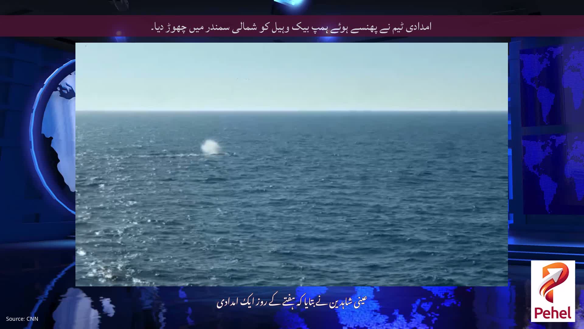 امدادی ٹیم نے پھنسے ہوئے ہمپ بیک وہیل کو شمالی سمندر میں چھوڑ دیا۔