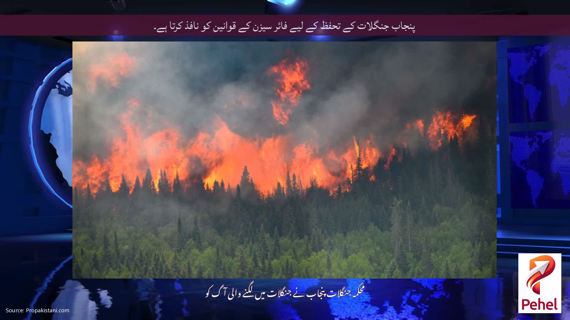 پنجاب جنگلات کے تحفظ کے لیے فائر سیزن کے قوانین کو نافذ کرتا ہے۔