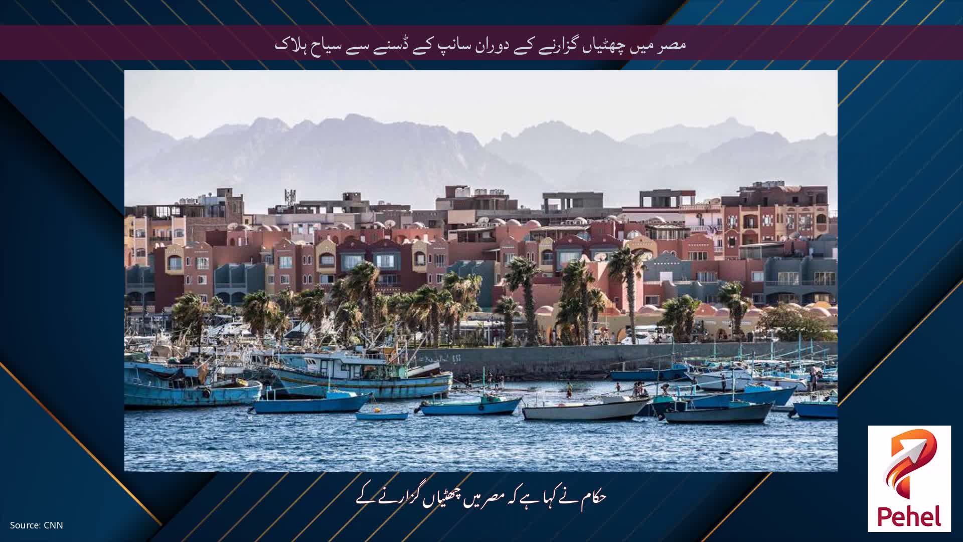 مصر میں چھٹیاں گزارنے کے دوران سانپ کے ڈسنے سے سیاح ہلاک