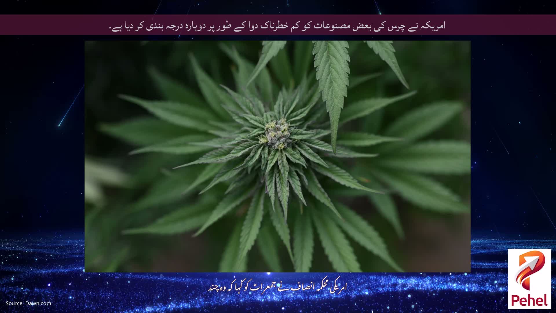 امریکہ نے چرس کی بعض مصنوعات کو کم خطرناک دوا کے طور پر دوبارہ درجہ بندی کر دیا ہے۔