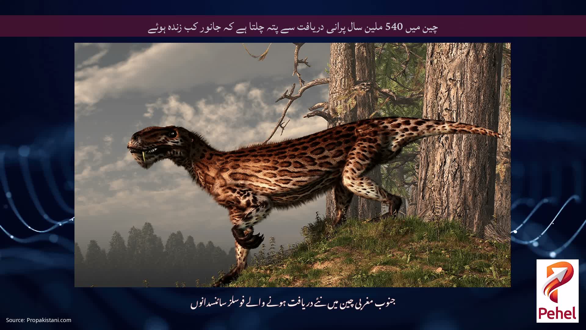 چین میں 540 ملین سال پرانی دریافت سے پتہ چلتا ہے کہ جانور کب زندہ ہوئے