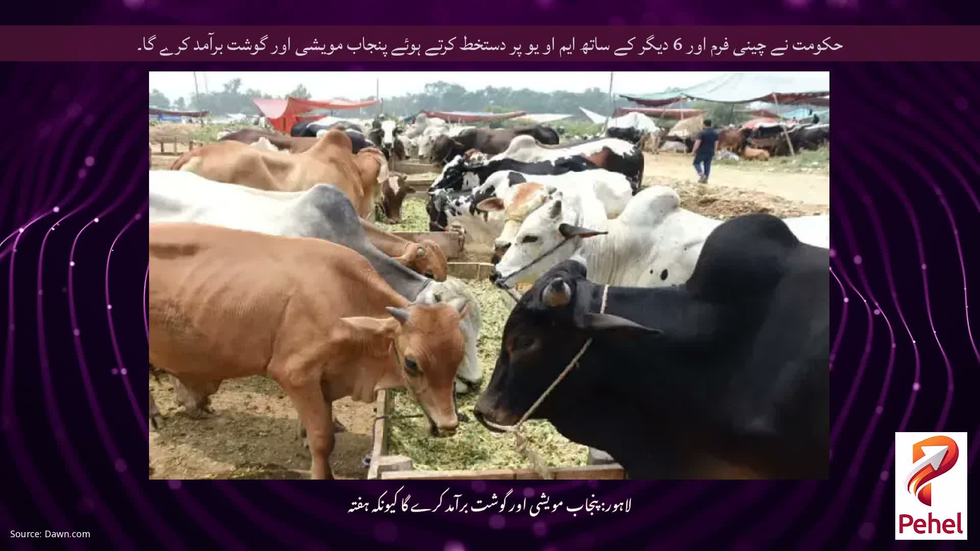 حکومت نے چینی فرم اور 6 دیگر کے ساتھ ایم او یو پر دستخط کرتے ہوئے پنجاب مویشی اور گوشت برآمد کرے گا۔