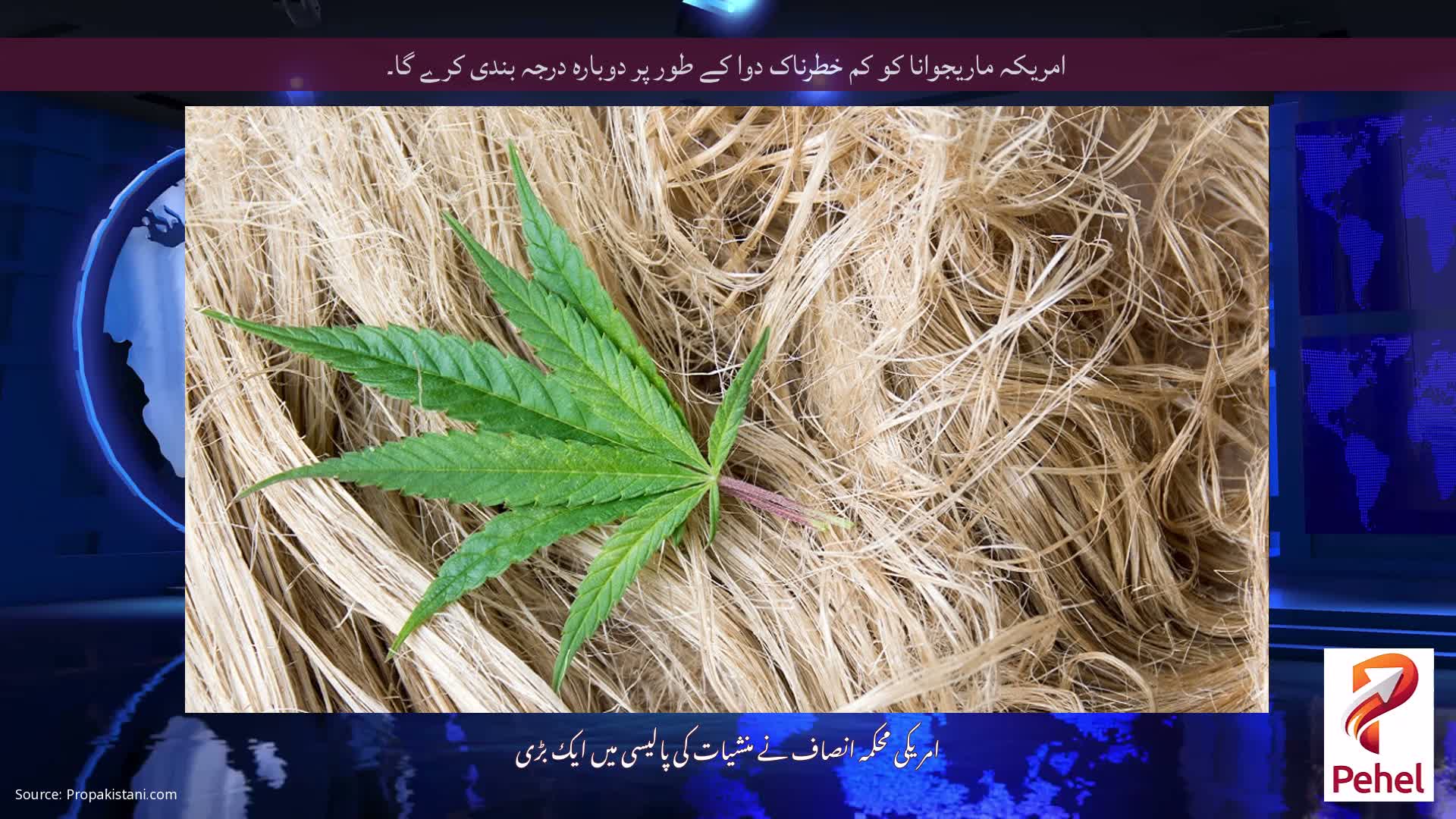 امریکہ ماریجوانا کو کم خطرناک دوا کے طور پر دوبارہ درجہ بندی کرے گا۔