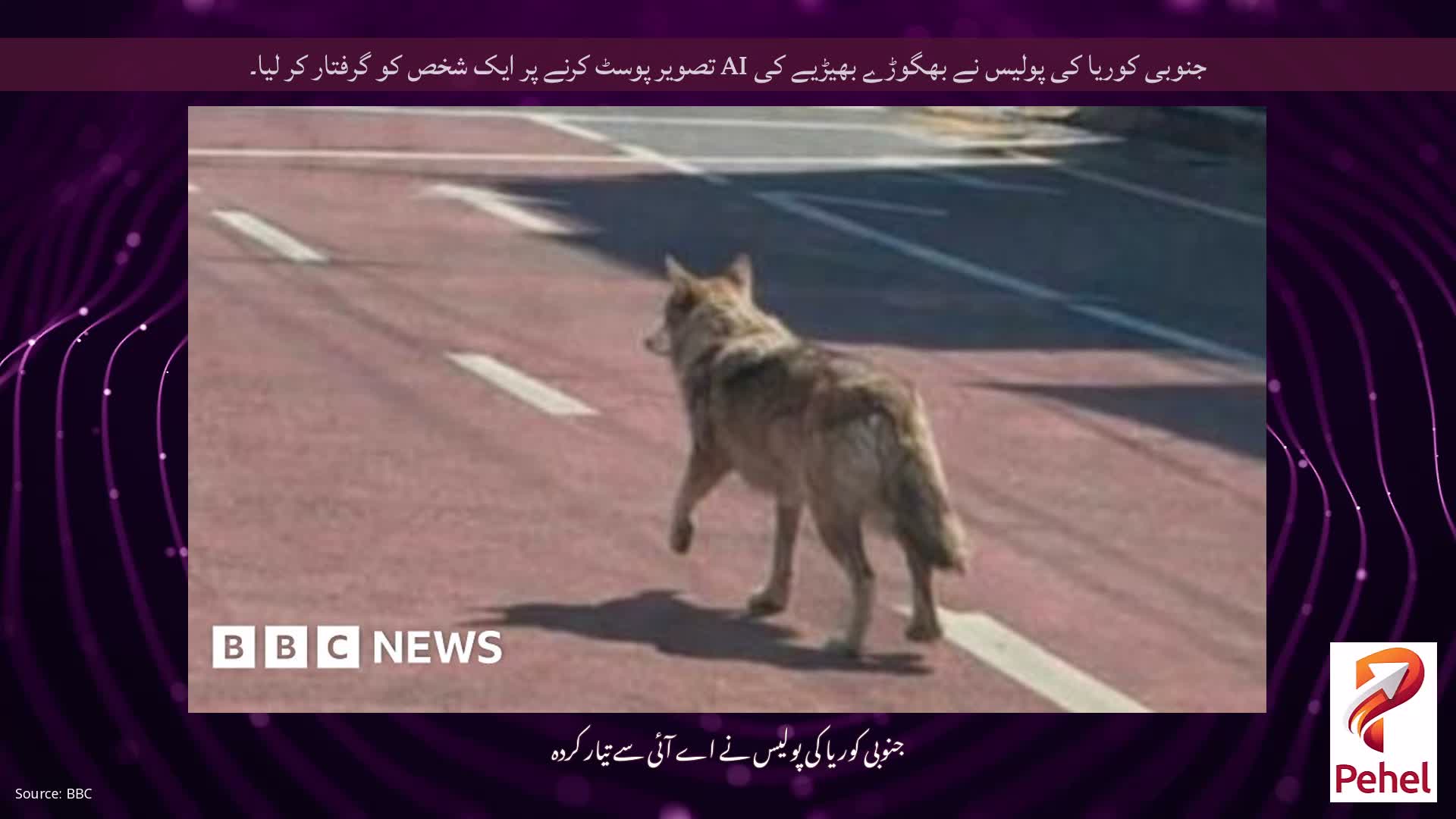 جنوبی کوریا کی پولیس نے بھگوڑے بھیڑیے کی AI تصویر پوسٹ کرنے پر ایک شخص کو گرفتار کر لیا۔