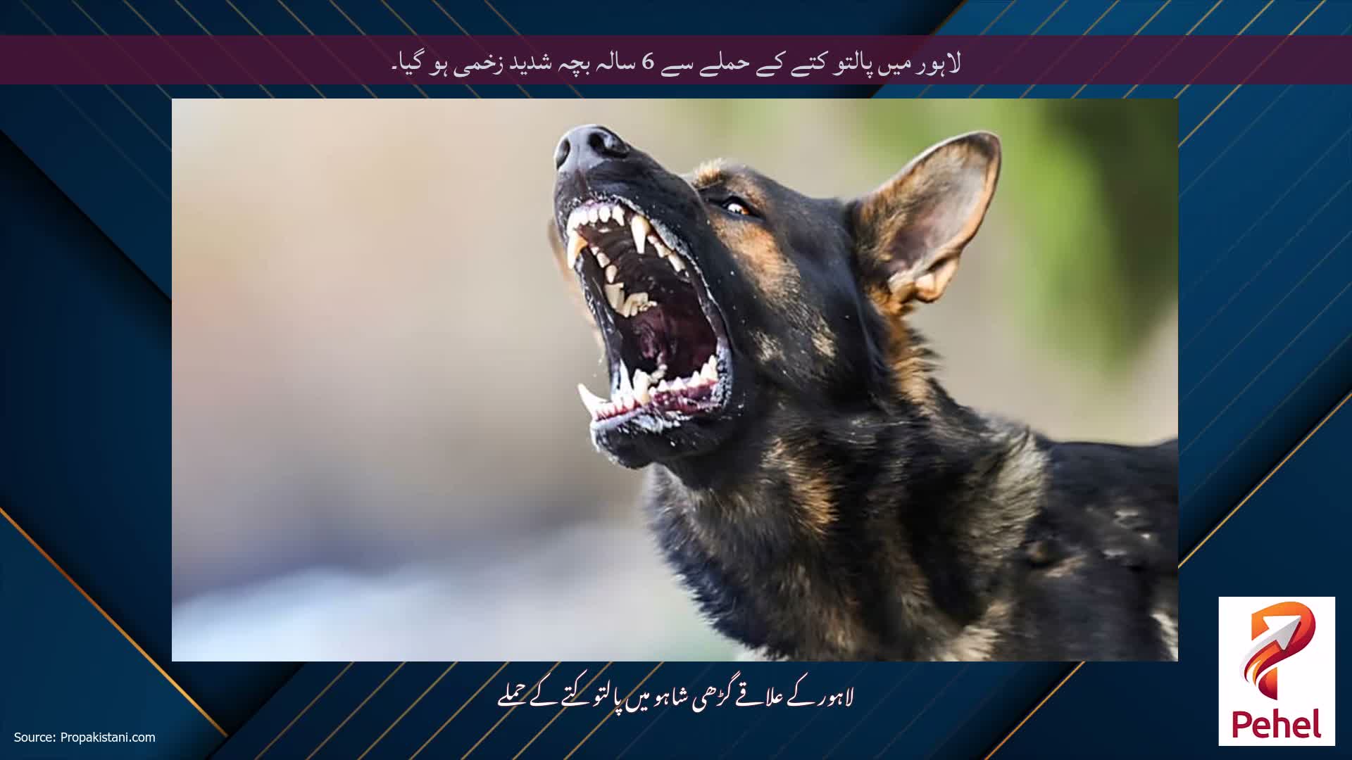 لاہور میں پالتو کتے کے حملے سے 6 سالہ بچہ شدید زخمی ہو گیا۔