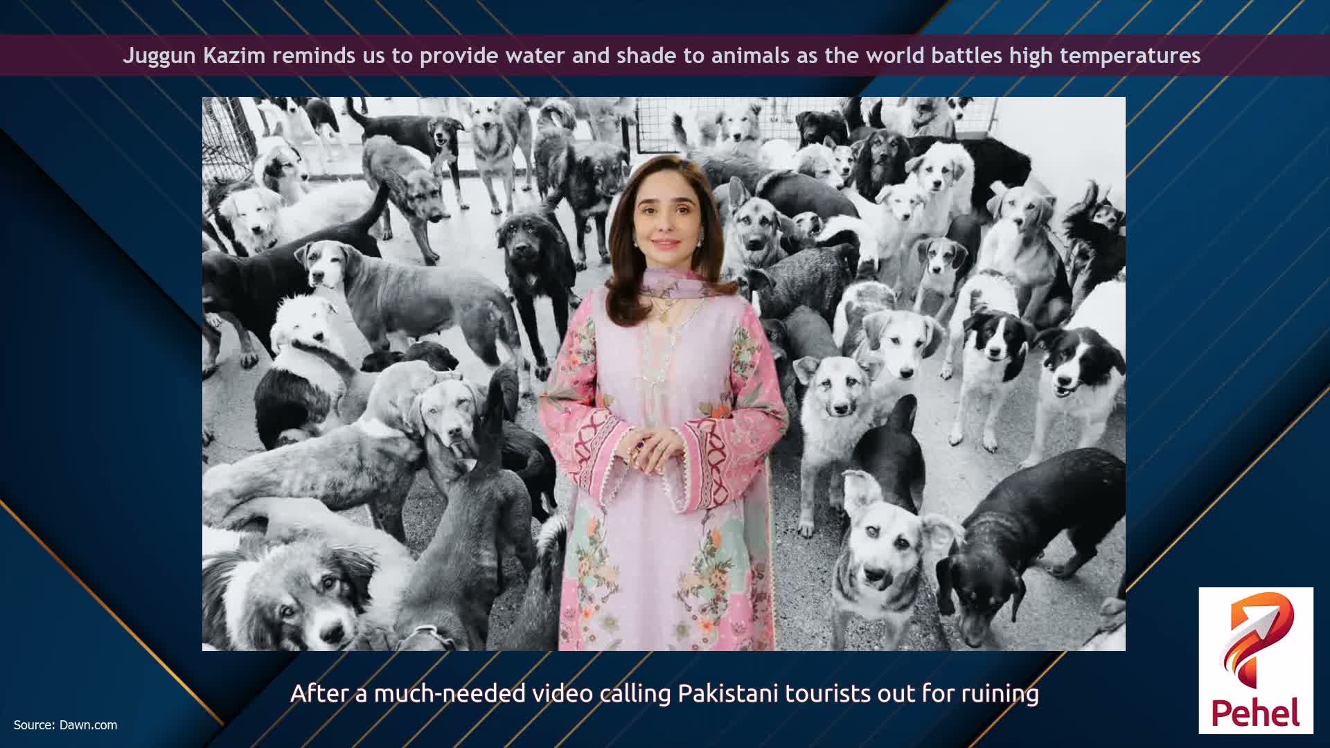 Juggun Kazim reminds us to provide water and shade to animals as the world battles high temperatures