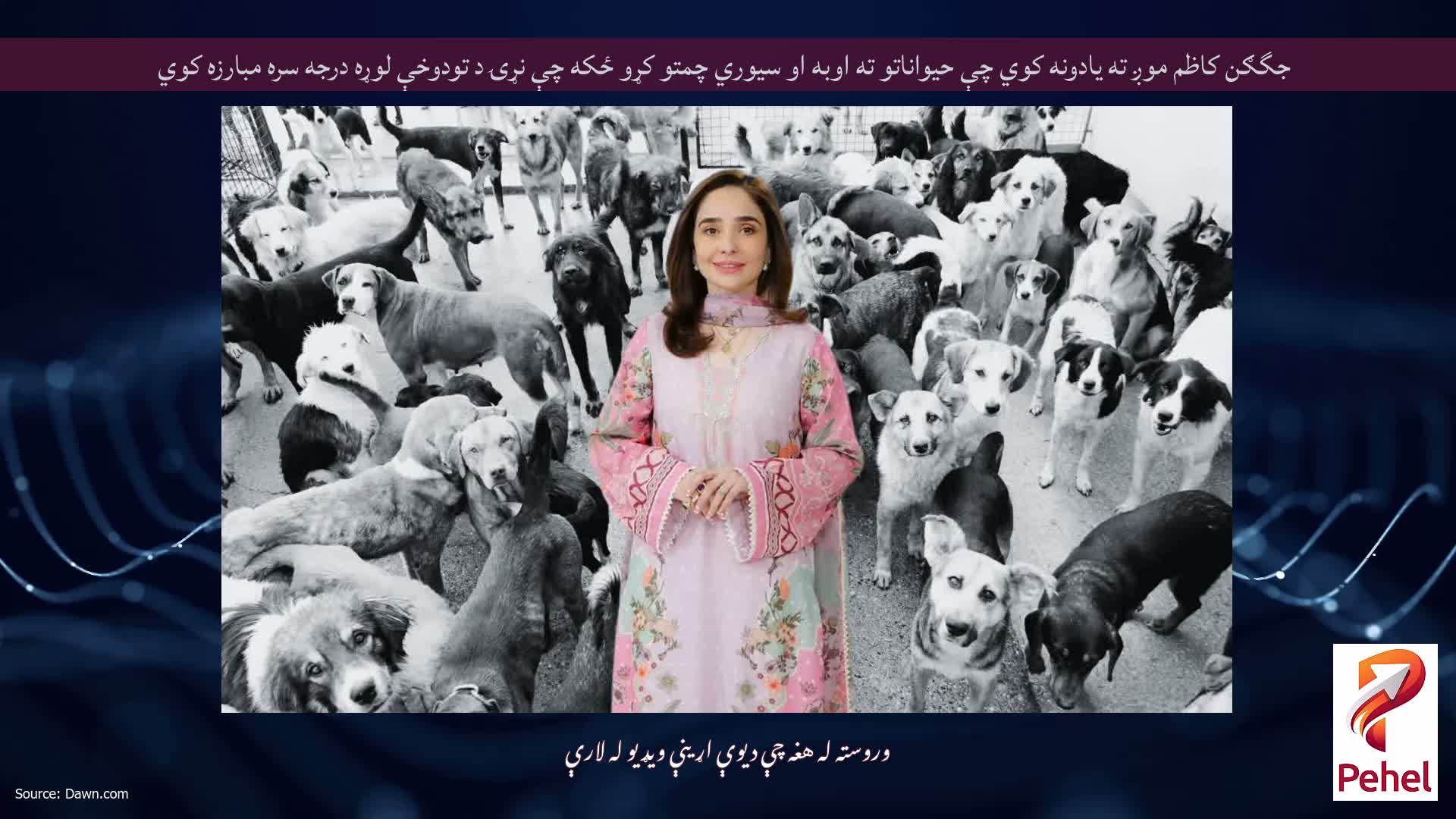 جگګن کاظم موږ ته یادونه کوي چې حیواناتو ته اوبه او سیوري چمتو کړو ځکه چې نړۍ د تودوخې لوړه درجه سره مبارزه کوي