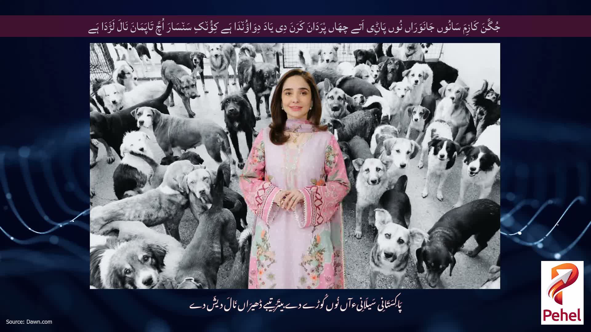 جُگَّنَ کَازِمَ سَانُوں جَانَوَرَاں نُوں پَاݨِی اَتے چھَاں پْرَدَانَ کَرَنَ دِی یَادَ دِوَاؤُن٘دَا ہَے کِؤُن٘کِ سَن٘سَارَ اُچَّ تَاپَمَانَ نَالَ لَڑَدَا ہَے