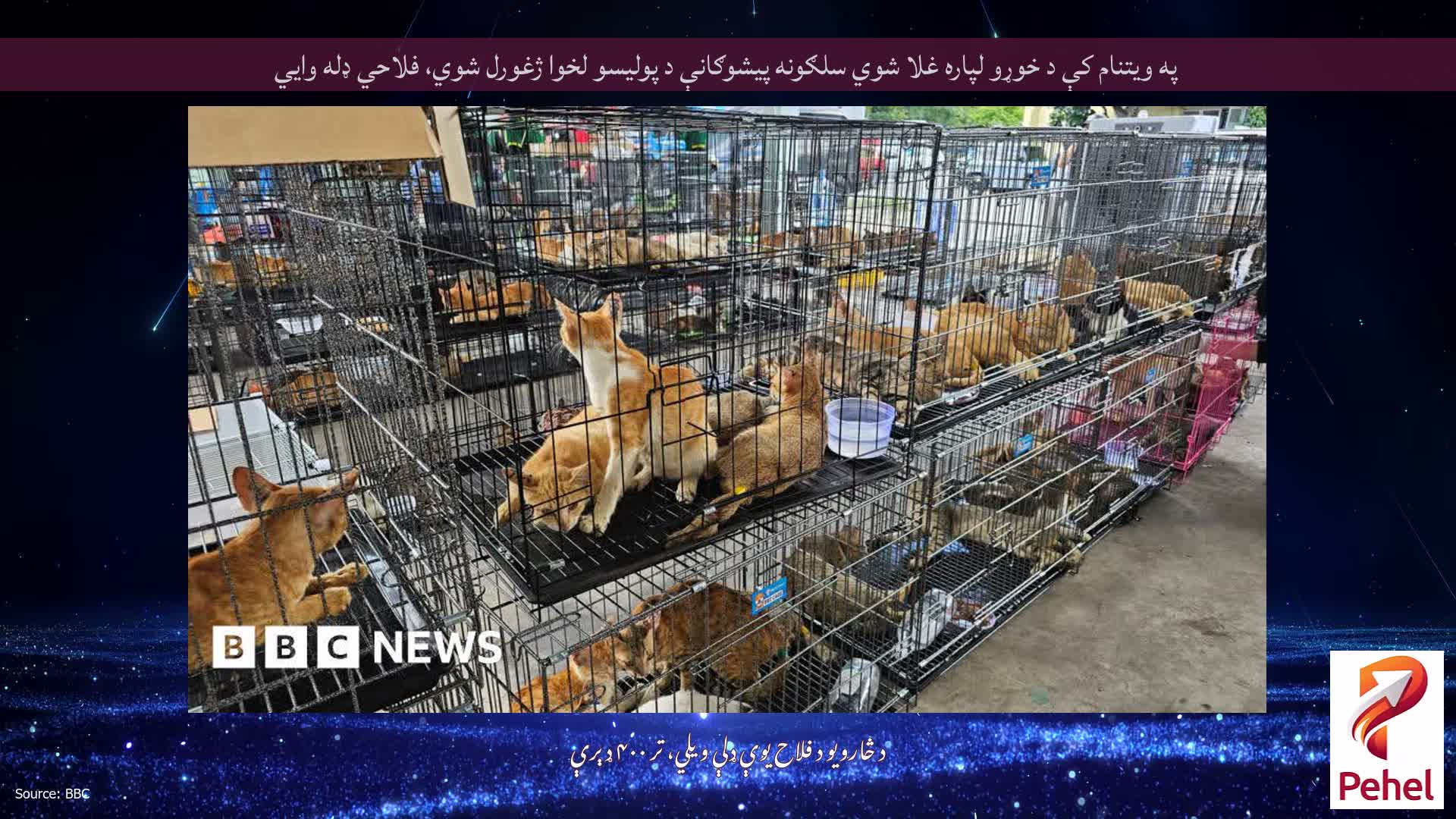 په ویتنام کې د خوړو لپاره غلا شوي سلګونه پیشوګانې د پولیسو لخوا ژغورل شوي، فلاحي ډله وايي