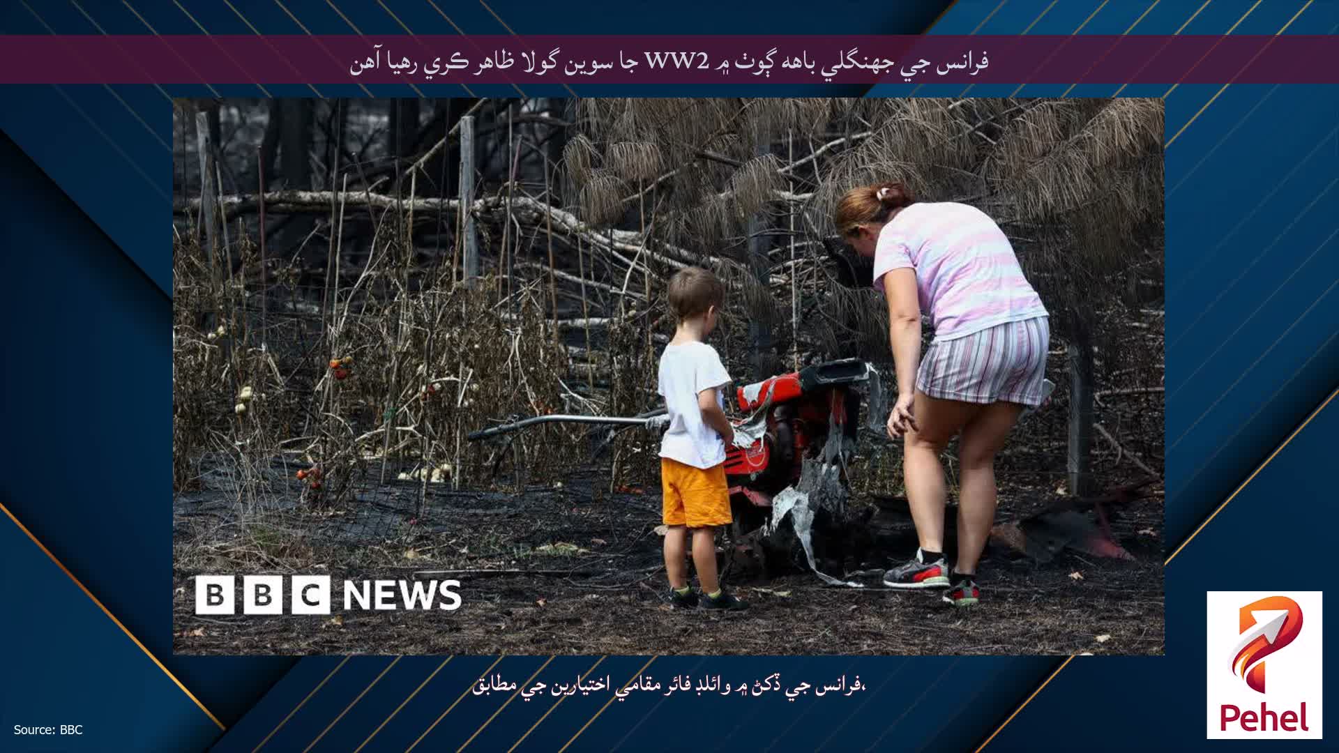 فرانس جي جهنگلي باهه ڳوٺ ۾ WW2 جا سوين گولا ظاهر ڪري رهيا آهن