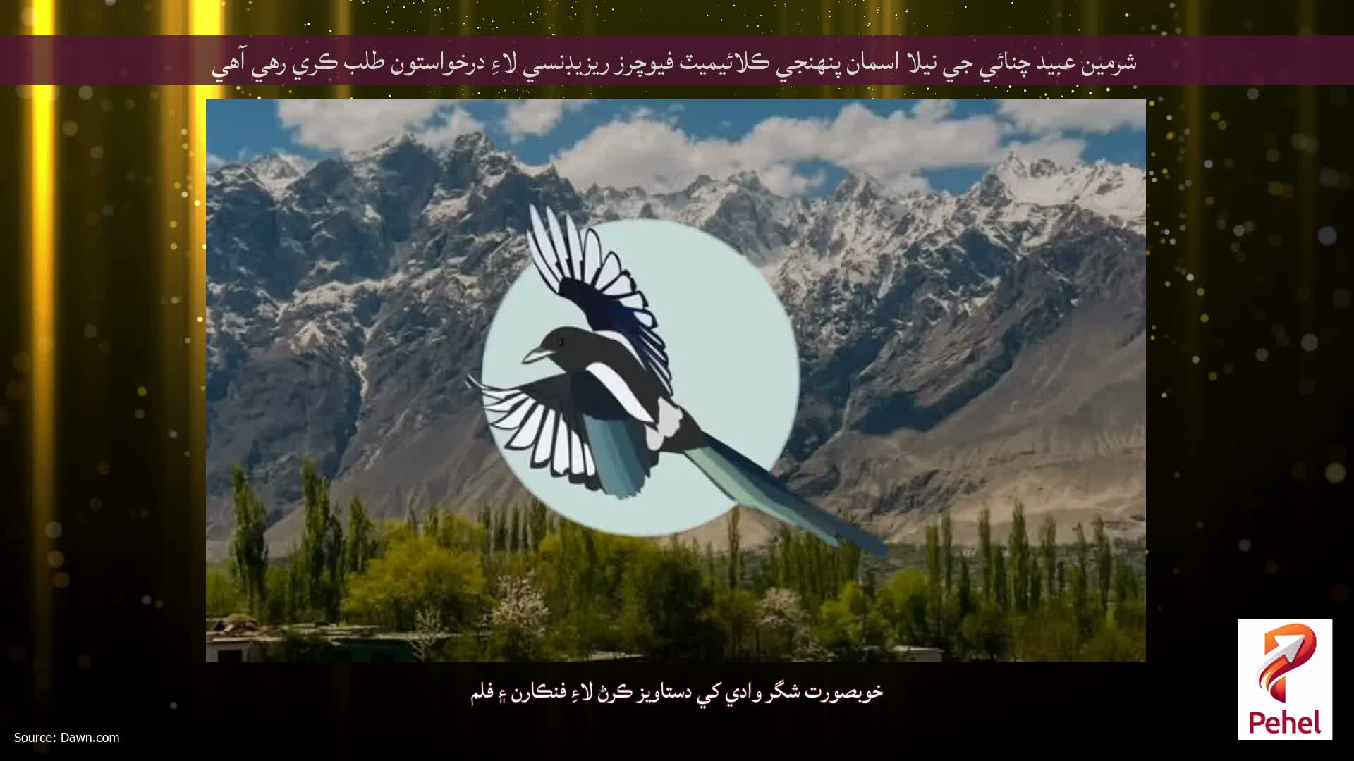 شرمين عبيد چنائي جي نيلا اسمان پنهنجي ڪلائيميٽ فيوچرز ريزيڊنسي لاءِ درخواستون طلب ڪري رهي آهي