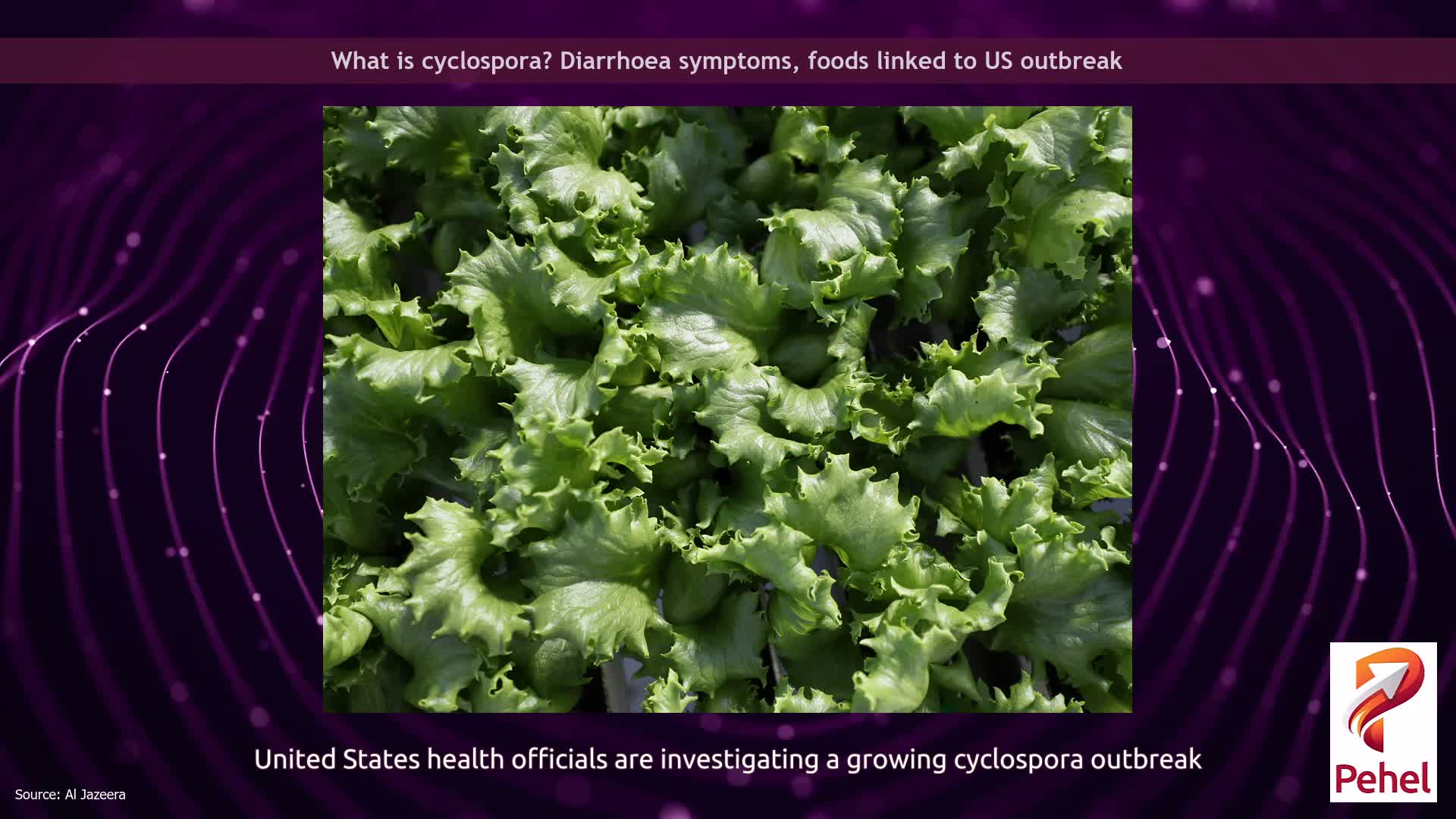 What is cyclospora? Diarrhoea symptoms, foods linked to US outbreak