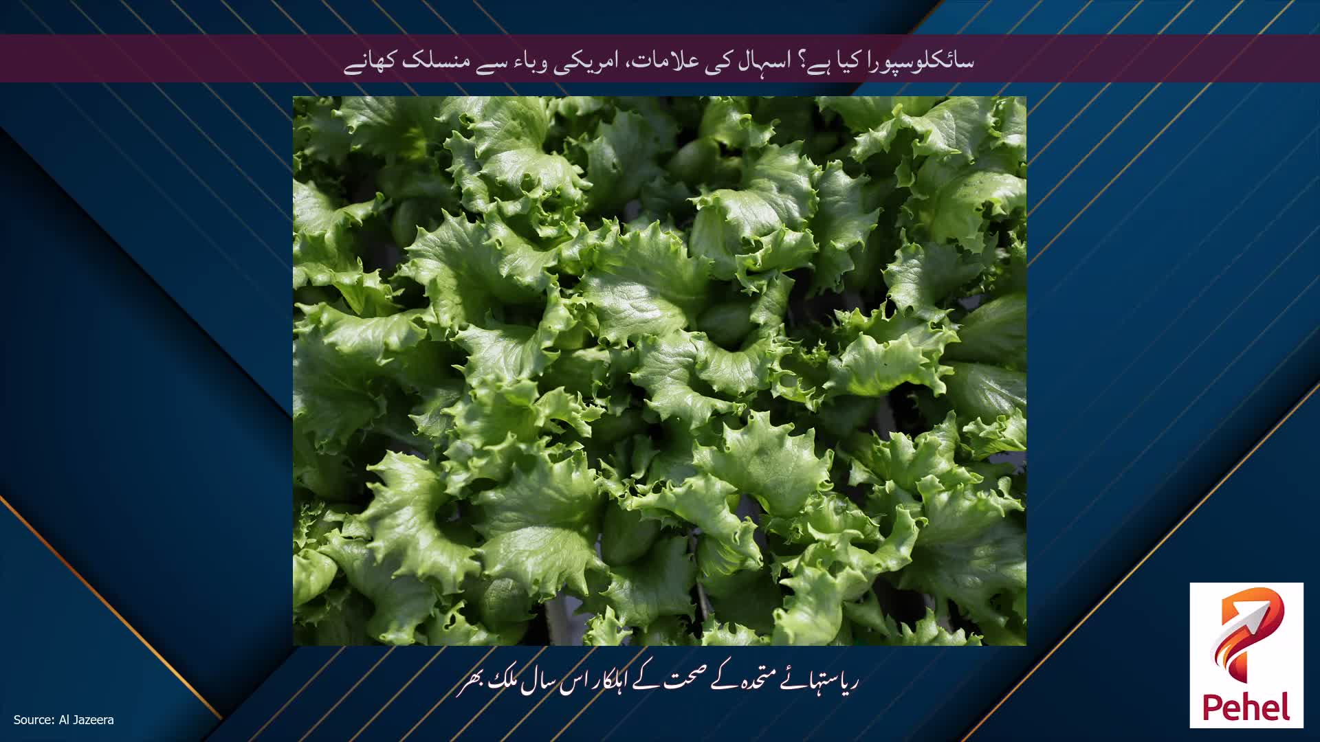سائکلوسپورا کیا ہے؟ اسہال کی علامات، امریکی وباء سے منسلک کھانے