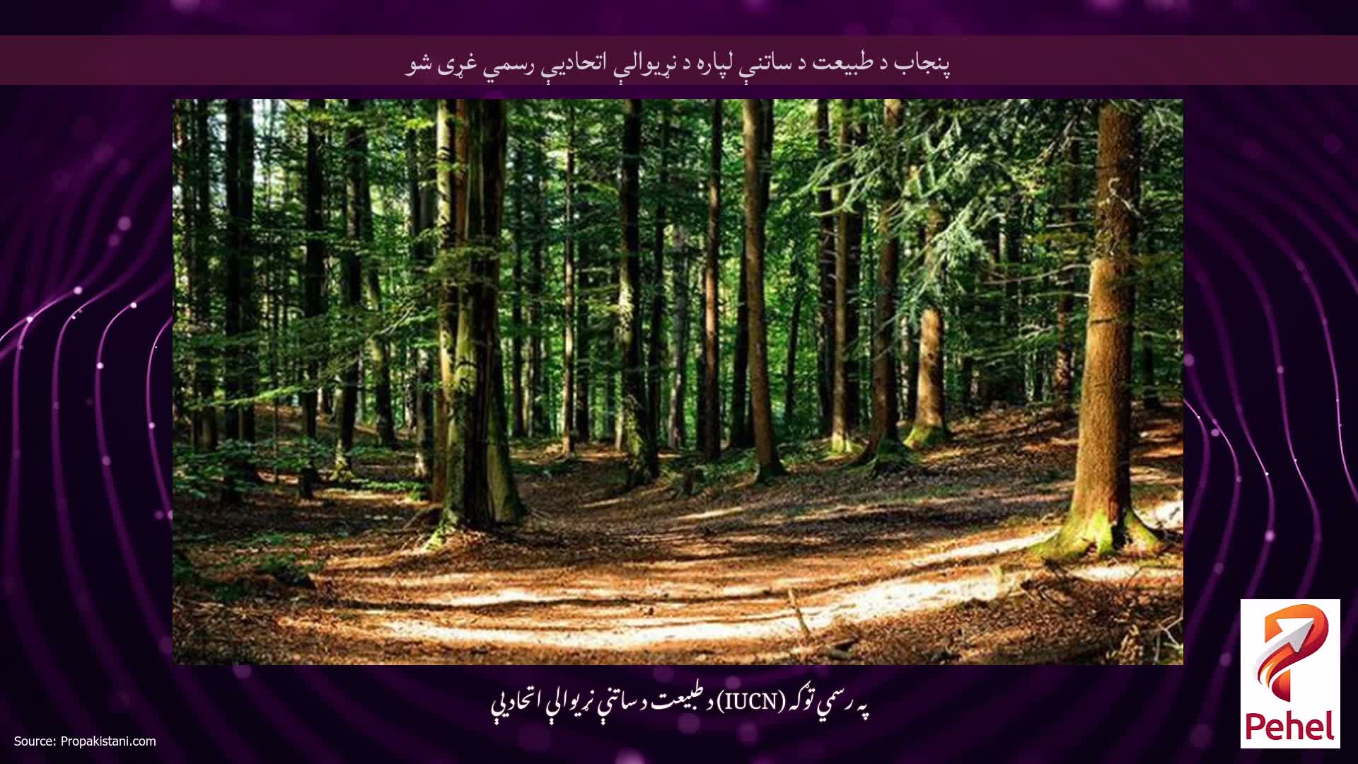 پنجاب د طبیعت د ساتنې لپاره د نړیوالې اتحادیې رسمي غړی شو