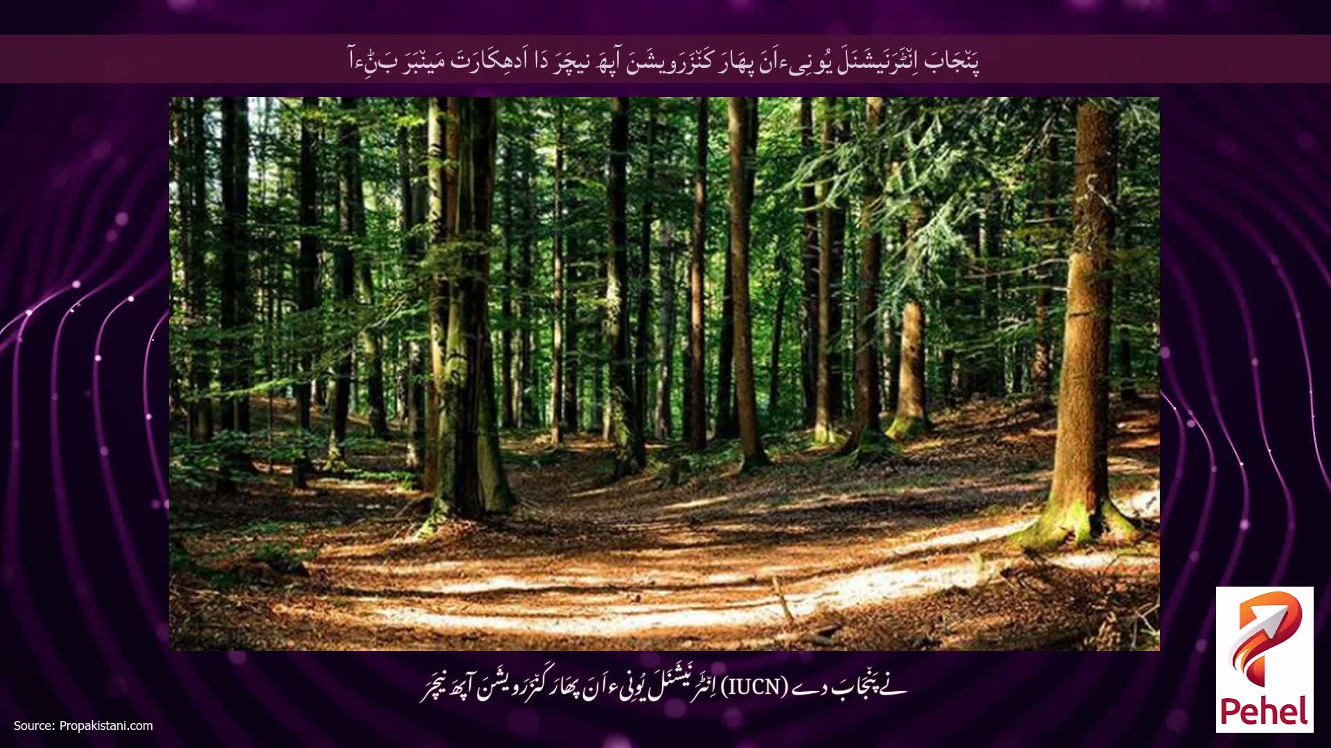 پَن٘جَابَ اِن٘ٹَرَنَیشَنَلَ یُونِیءاَنَ پھَارَ کَن٘زَرَویشَنَ آپھَ نیچَرَ دَا اَدھِکَارَتَ مَین٘بَرَ بَݨِءآ