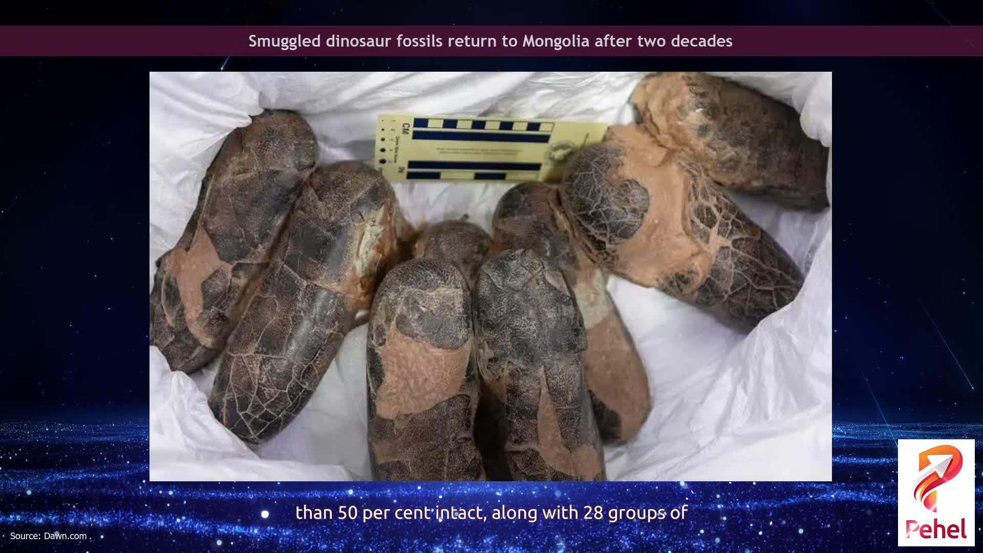 Smuggled dinosaur fossils return to Mongolia after two decades