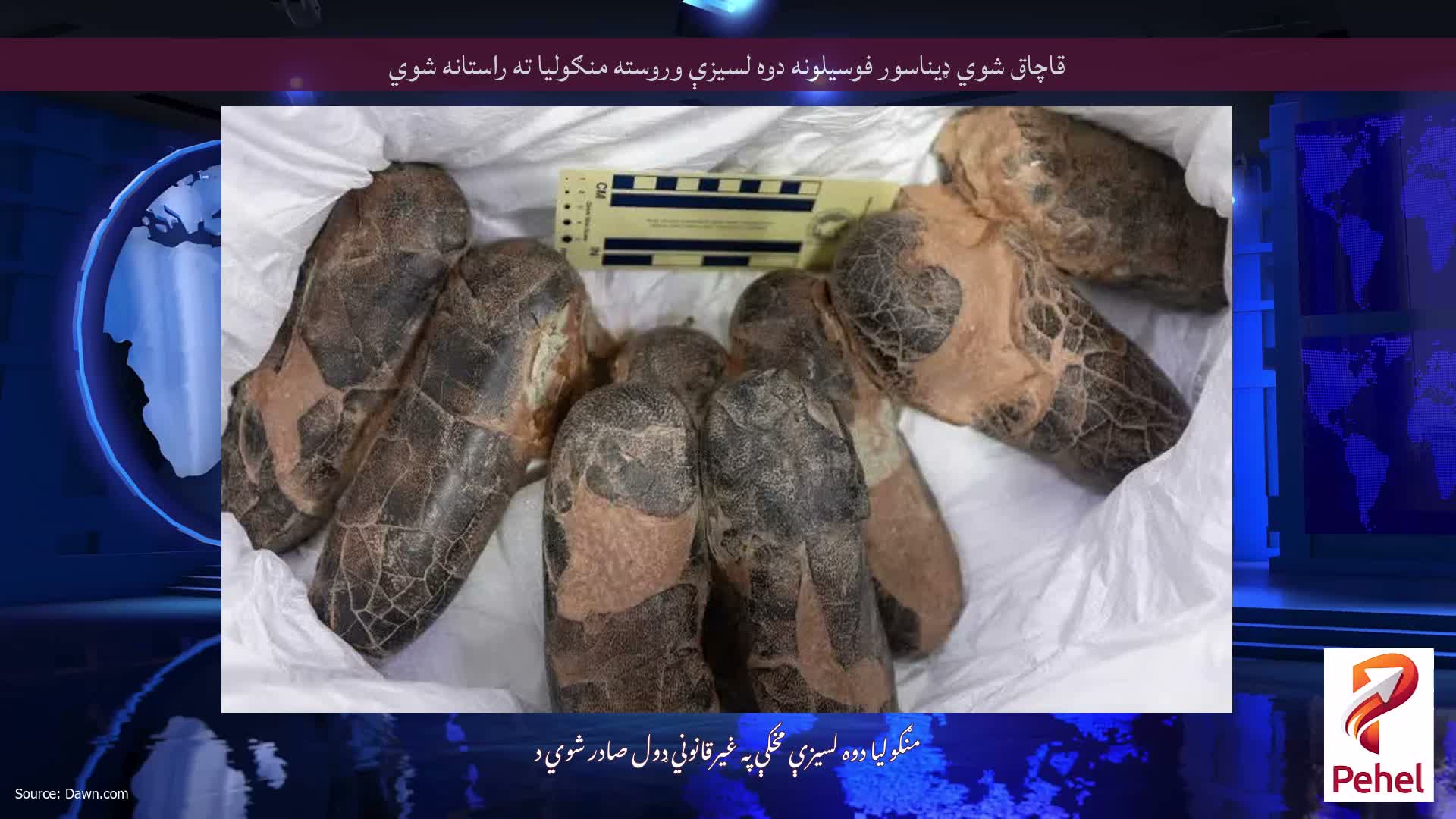 قاچاق شوي ډیناسور فوسیلونه دوه لسیزې وروسته منګولیا ته راستانه شوي