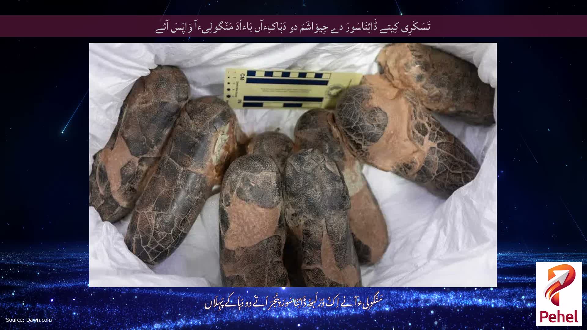 تَسَکَرِی کِیتے ڈَائِنَاسَورَ دے جِیوَاشَمَ دو دَہَاکِءآں بَاءاَدَ مَن٘گولِیءآ وَاپَسَ آئے