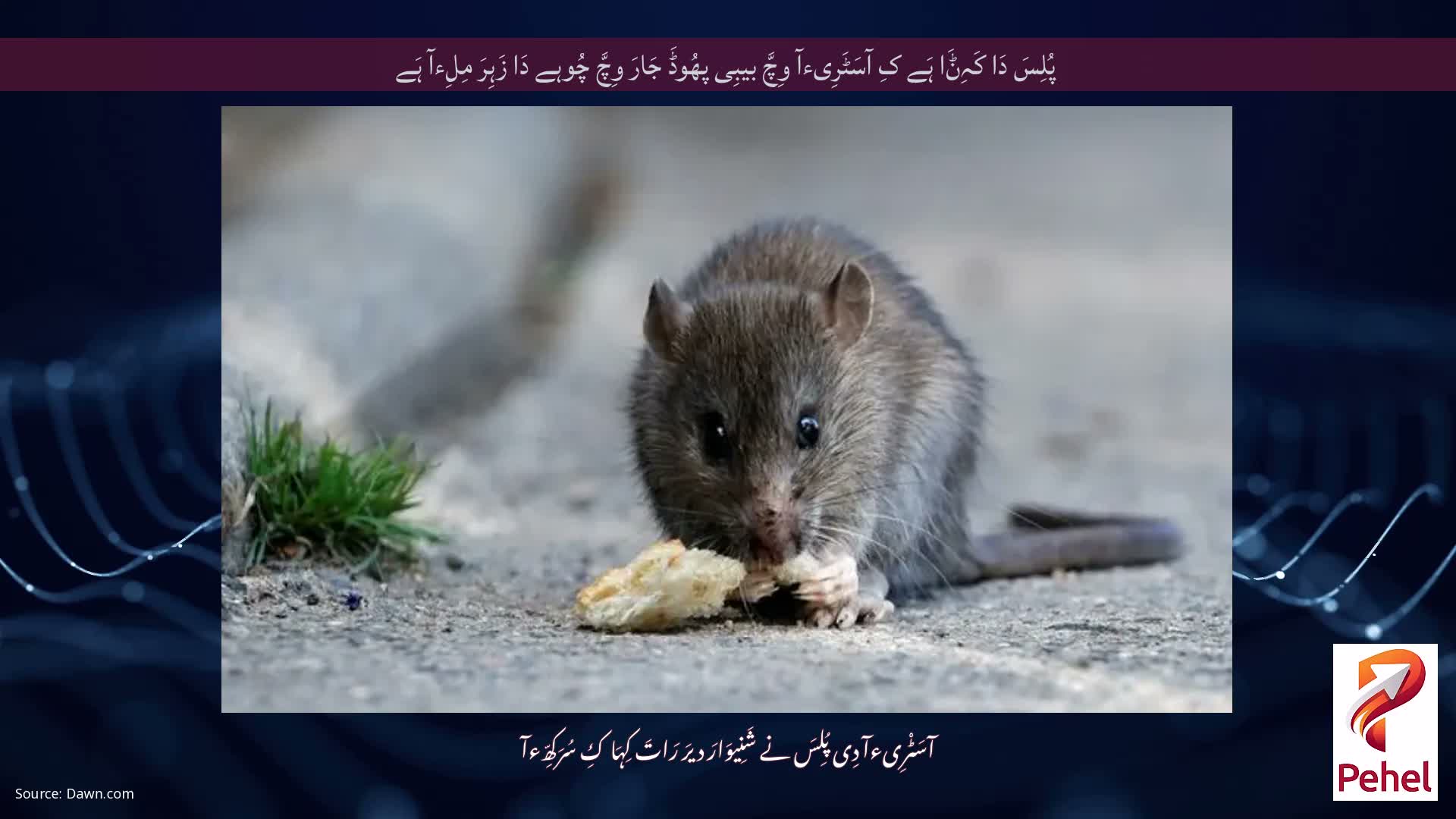 پُلِسَ دَا کَہِݨَا ہَے کِ آسَٹَرِیءآ وِچَّ بیبِی پھُوڈَ جَارَ وِچَّ چُوہے دَا زَہِرَ مِلِءآ ہَے