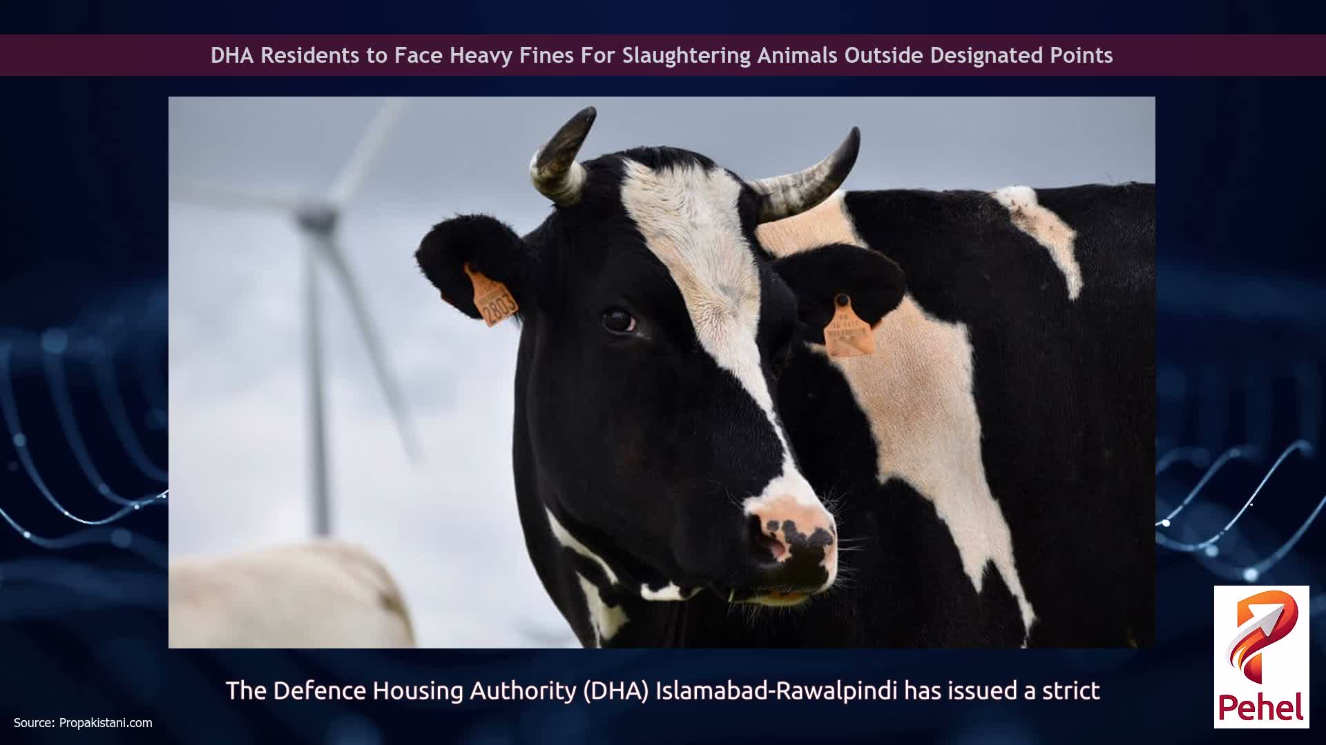 DHA Residents to Face Heavy Fines For Slaughtering Animals Outside Designated Points