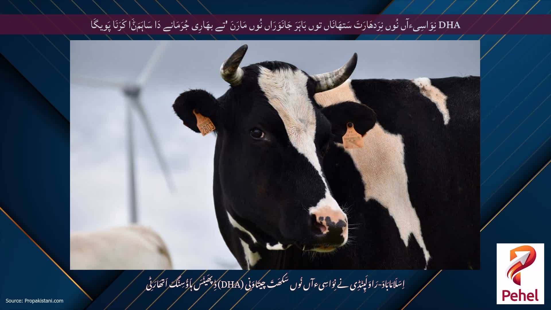 DHA نِوَاسِیءآں نُوں نِرَدھَارَتَ سَتھَانَاں توں بَاہَرَ جَانَوَرَاں نُوں مَارَنَ 'تے بھَارِی جُرَمَانے دَا سَاہَمَݨَا کَرَنَا پَویگَا