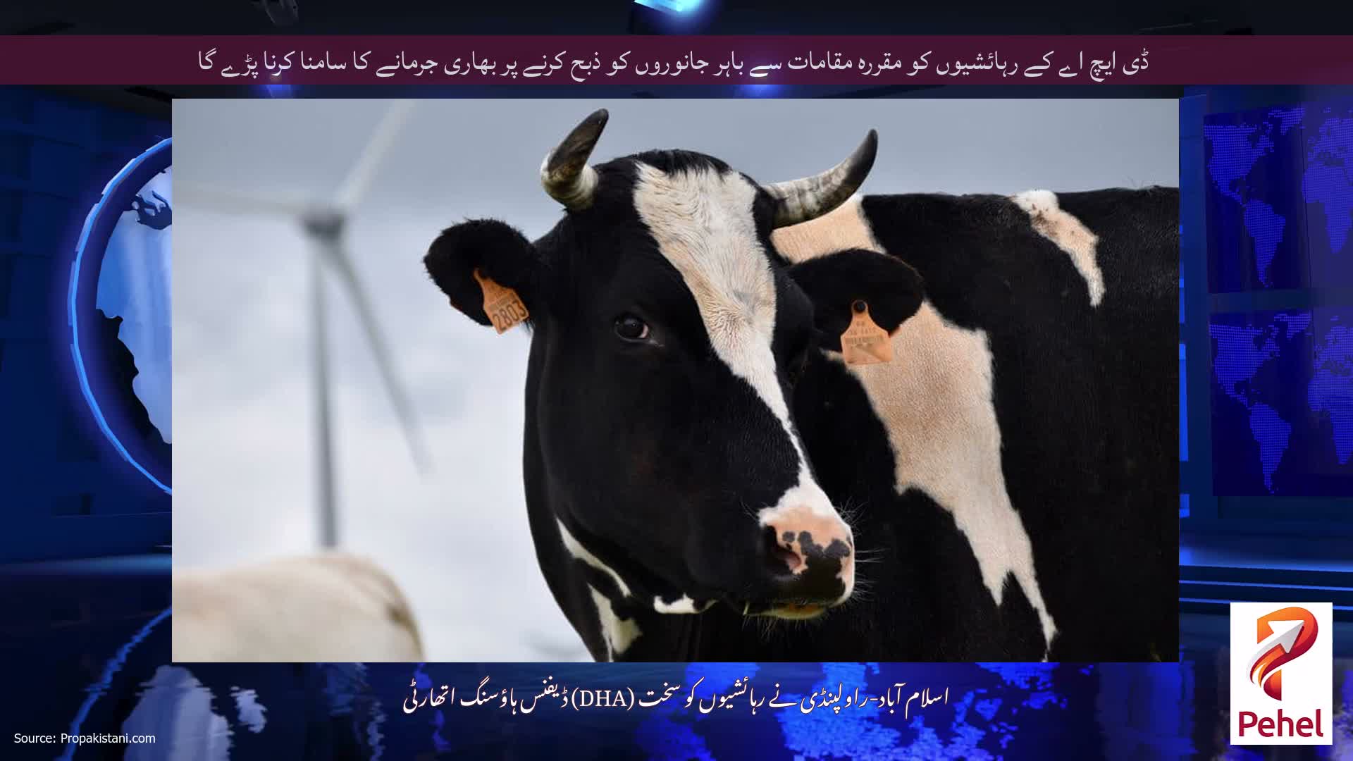 ڈی ایچ اے کے رہائشیوں کو مقررہ مقامات سے باہر جانوروں کو ذبح کرنے پر بھاری جرمانے کا سامنا کرنا پڑے گا