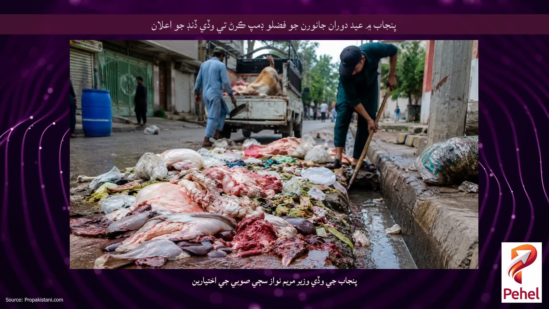پنجاب ۾ عيد دوران جانورن جو فضلو ڊمپ ڪرڻ تي وڏي ڏنڊ جو اعلان
