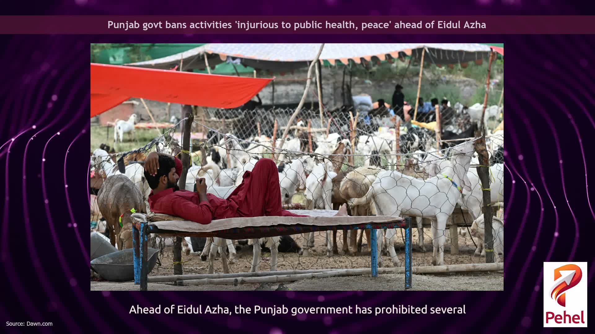 Punjab govt bans activities 'injurious to public health, peace' ahead of Eidul Azha