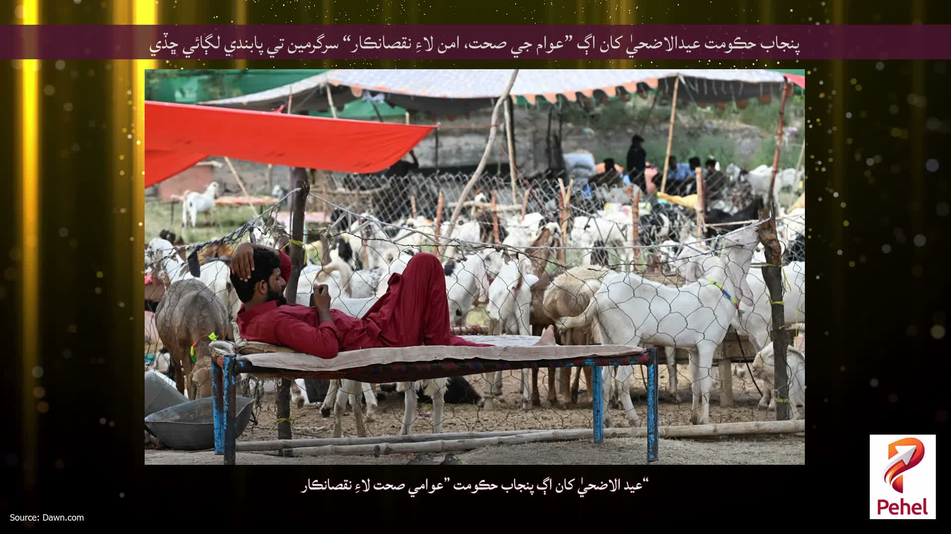 پنجاب حڪومت عيدالاضحيٰ کان اڳ ”عوام جي صحت، امن لاءِ نقصانڪار“ سرگرمين تي پابندي لڳائي ڇڏي