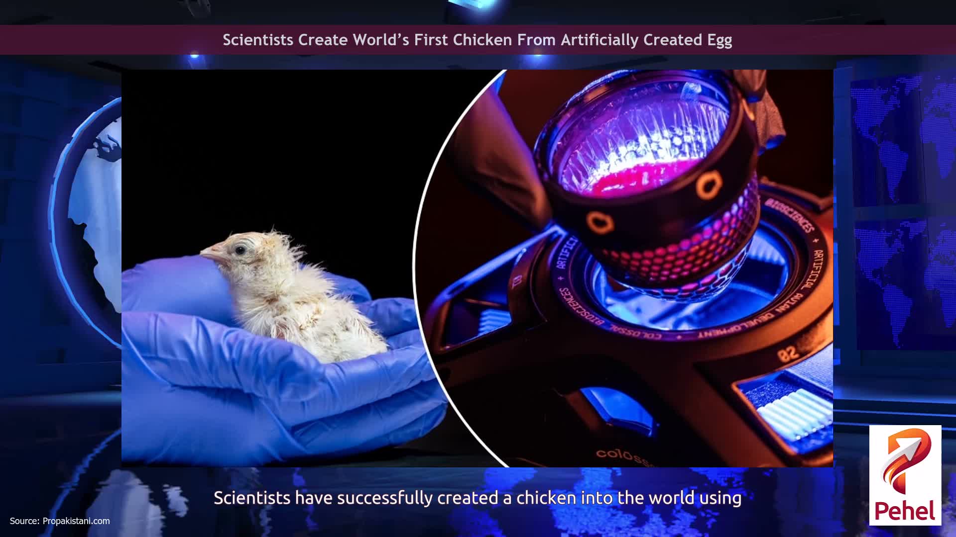 Scientists Create World’s First Chicken From Artificially Created Egg