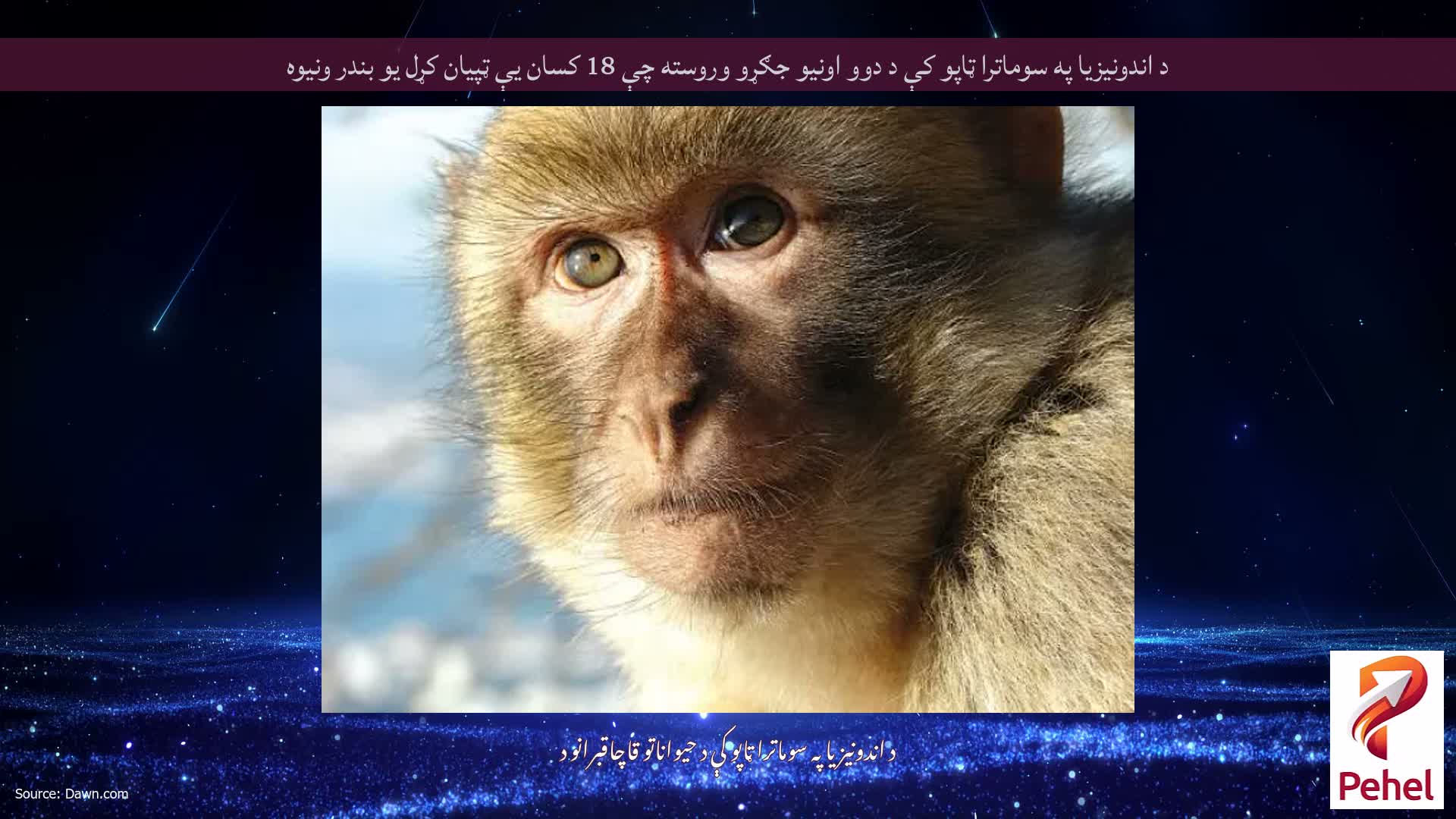 د اندونیزیا په سوماترا ټاپو کې د دوو اونیو جګړو وروسته چې 18 کسان یې ټپیان کړل یو بندر ونیوه